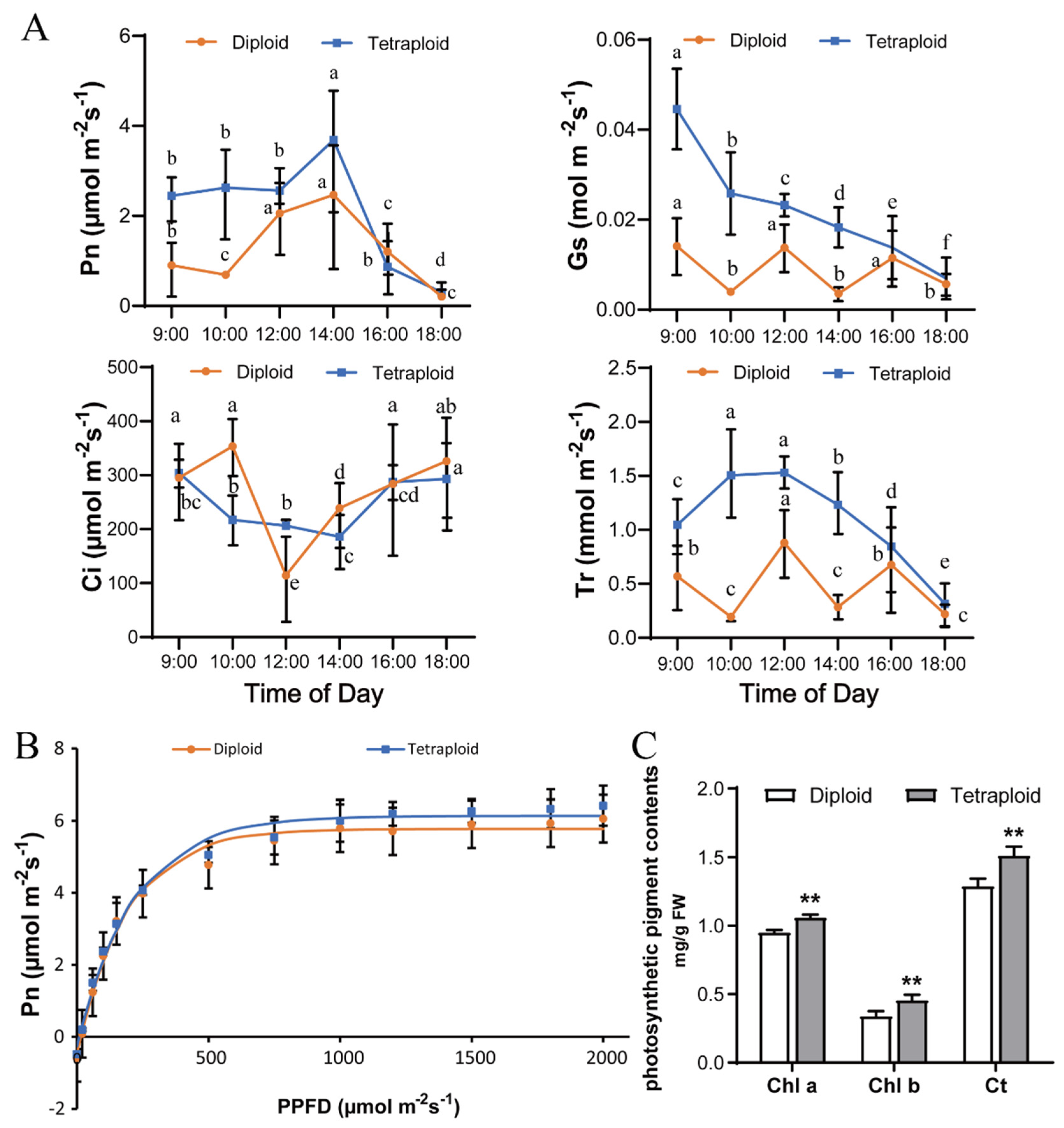 Plants 11 02112 g005 550