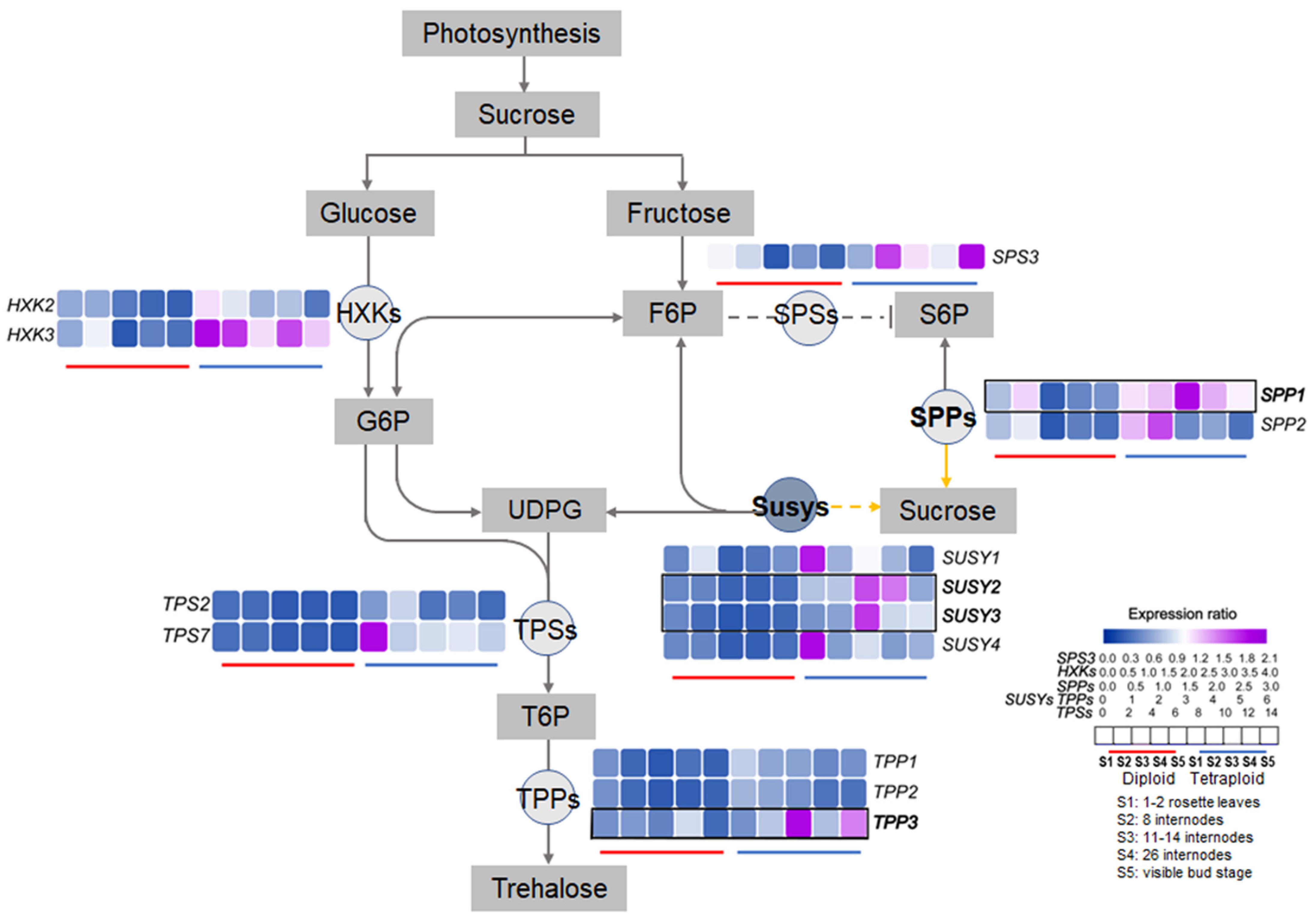 Plants 11 02112 g009 550