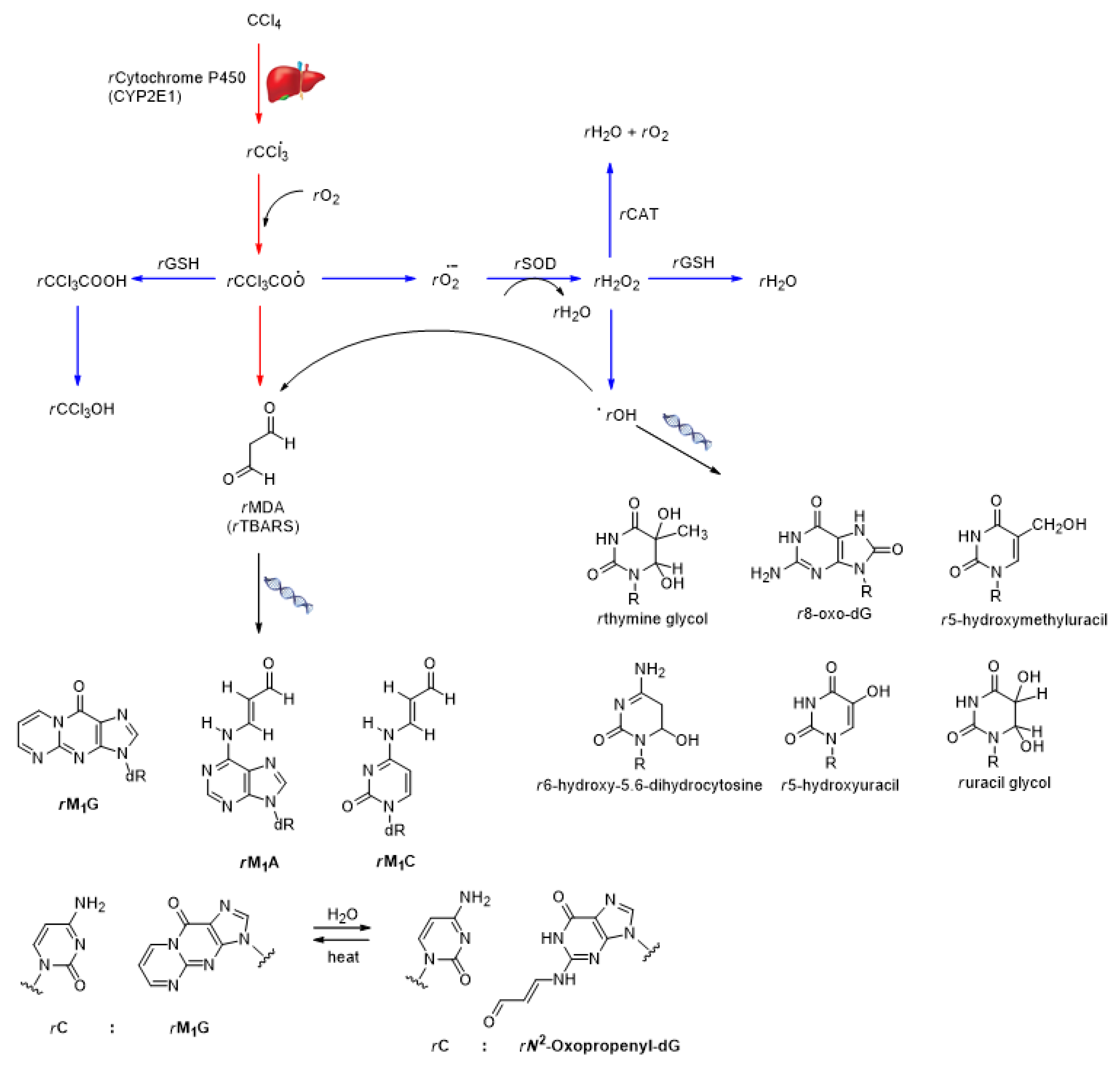 Plants 11 02114 sch001
