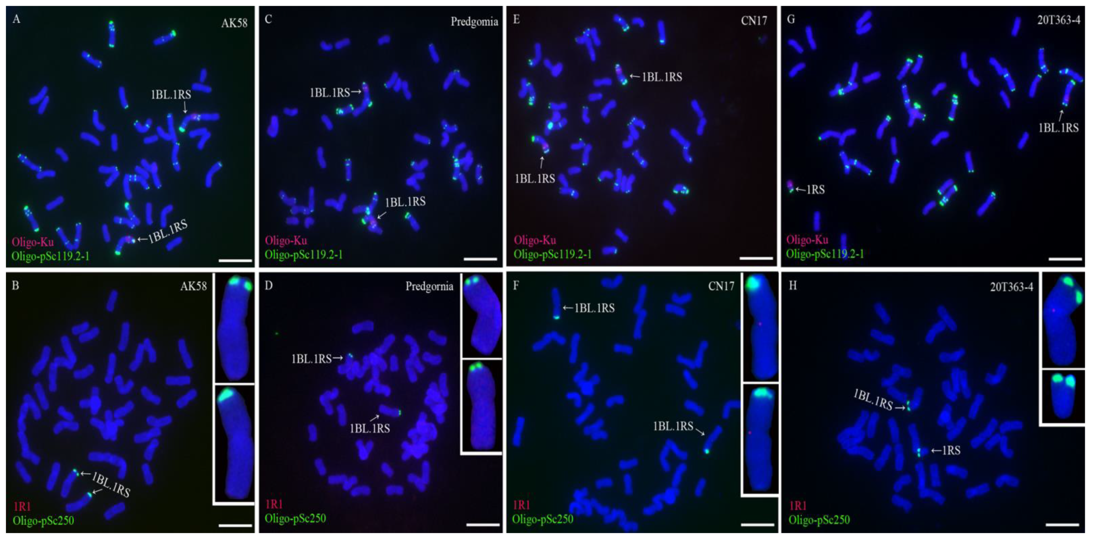 Plants 11 02117 g005