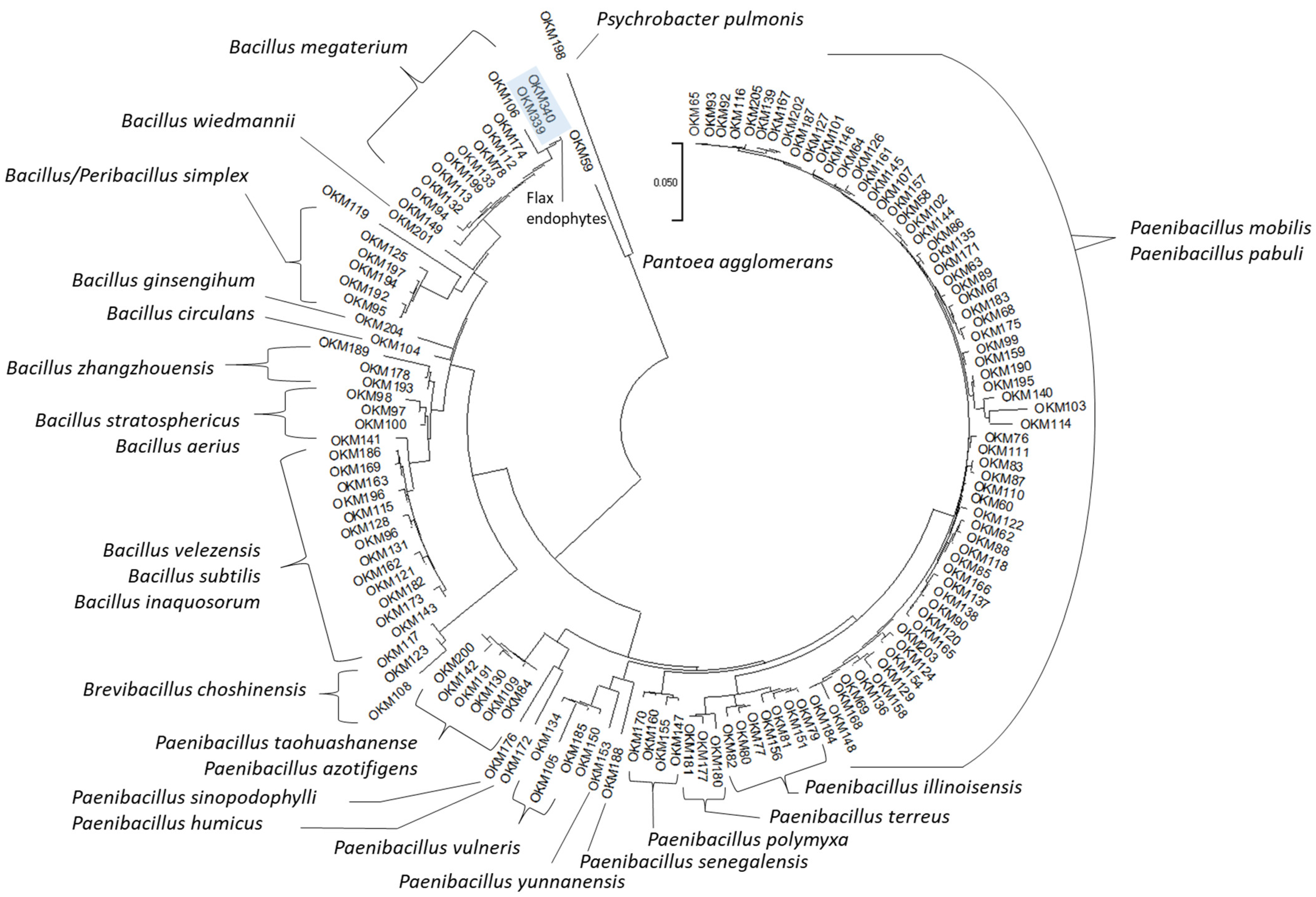 Plants 11 02127 g002 550