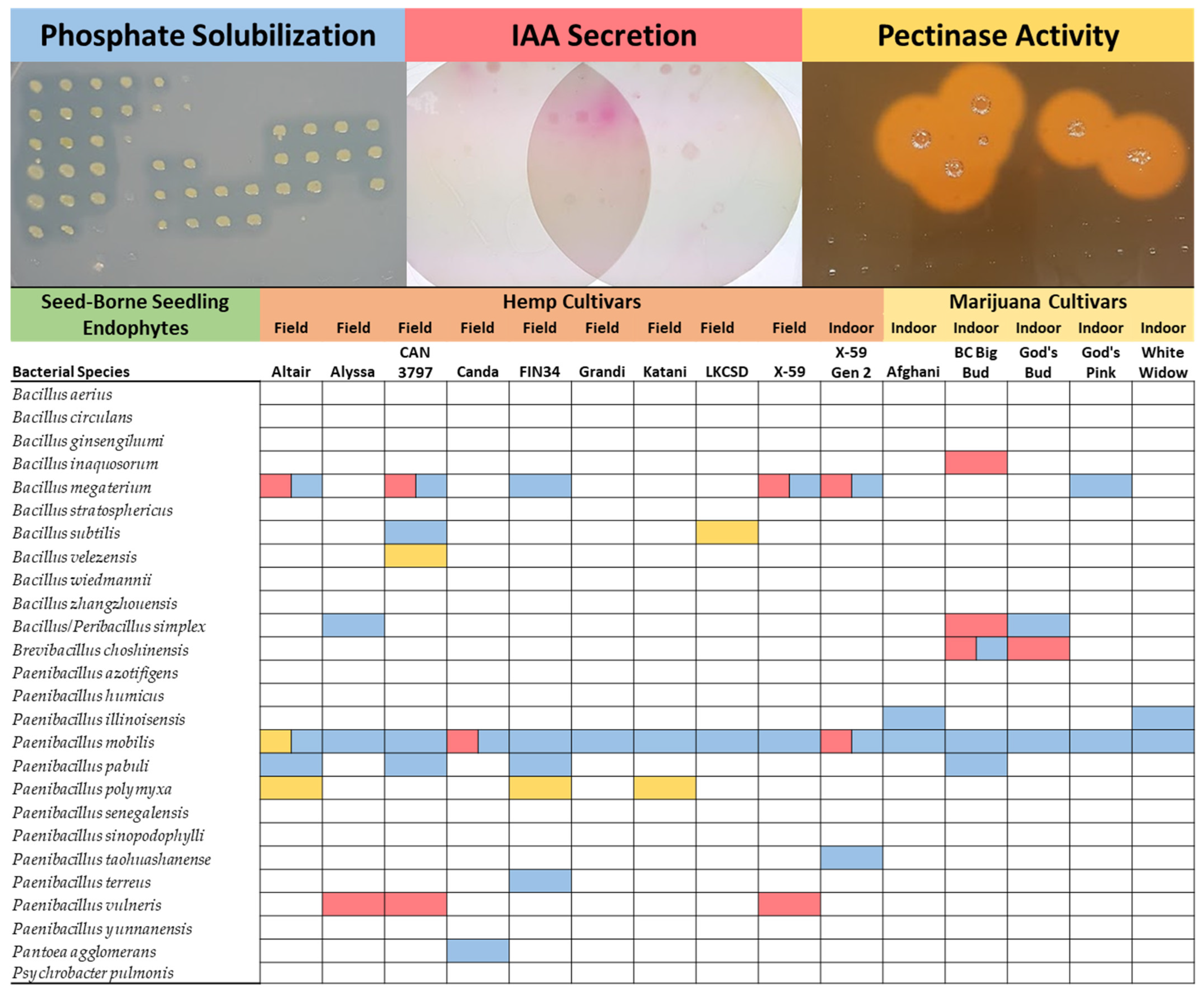 Plants 11 02127 g003 550