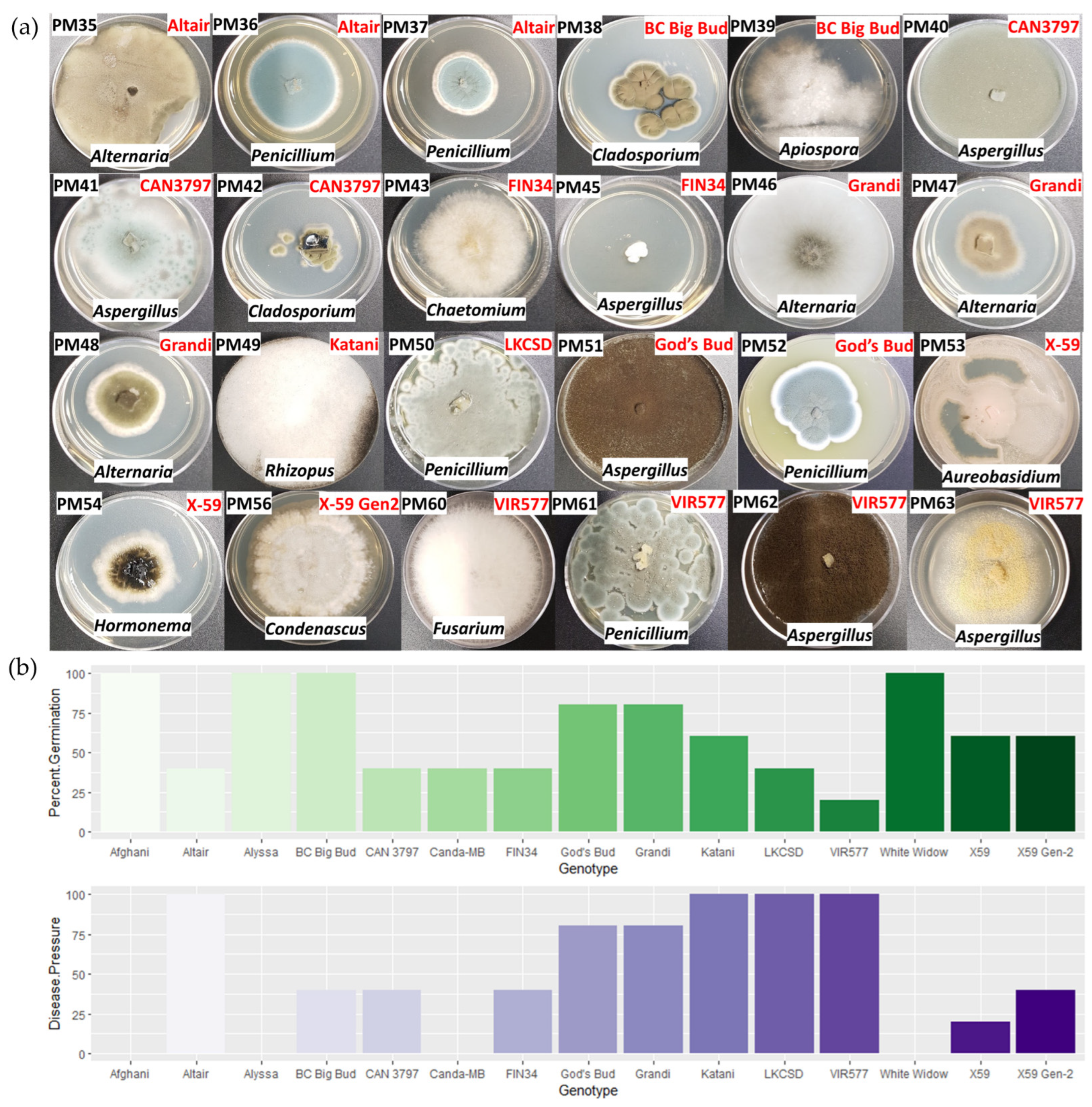 Plants 11 02127 g004 550