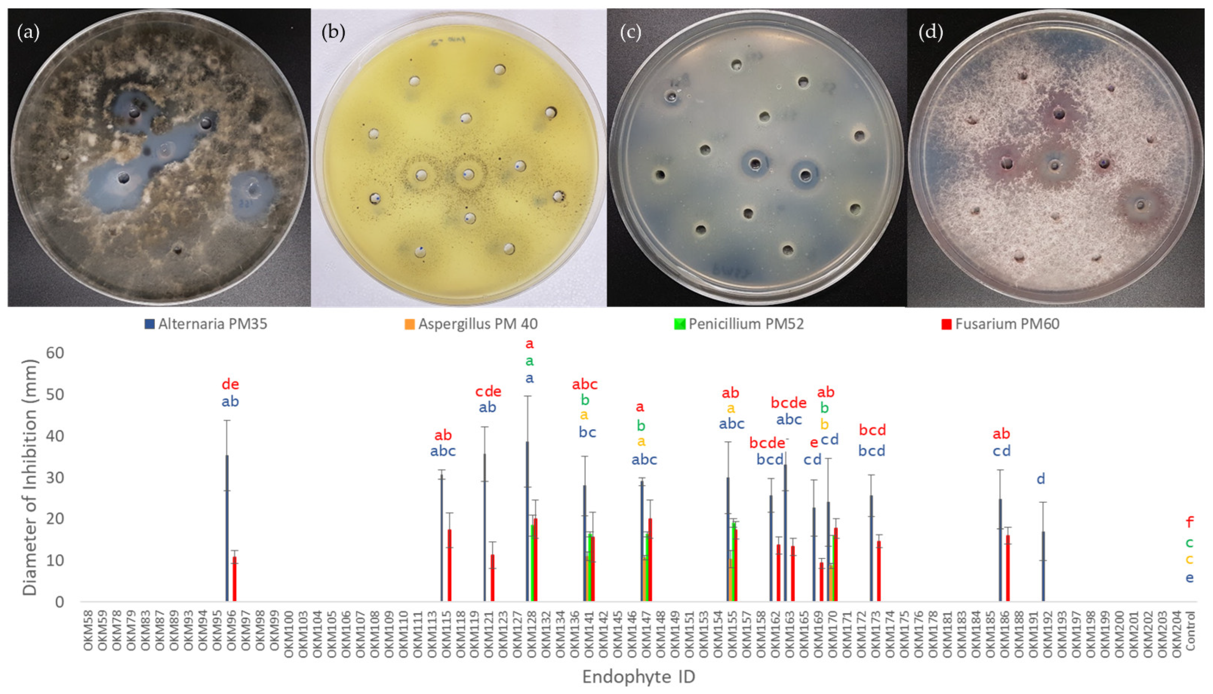 Plants 11 02127 g005 550