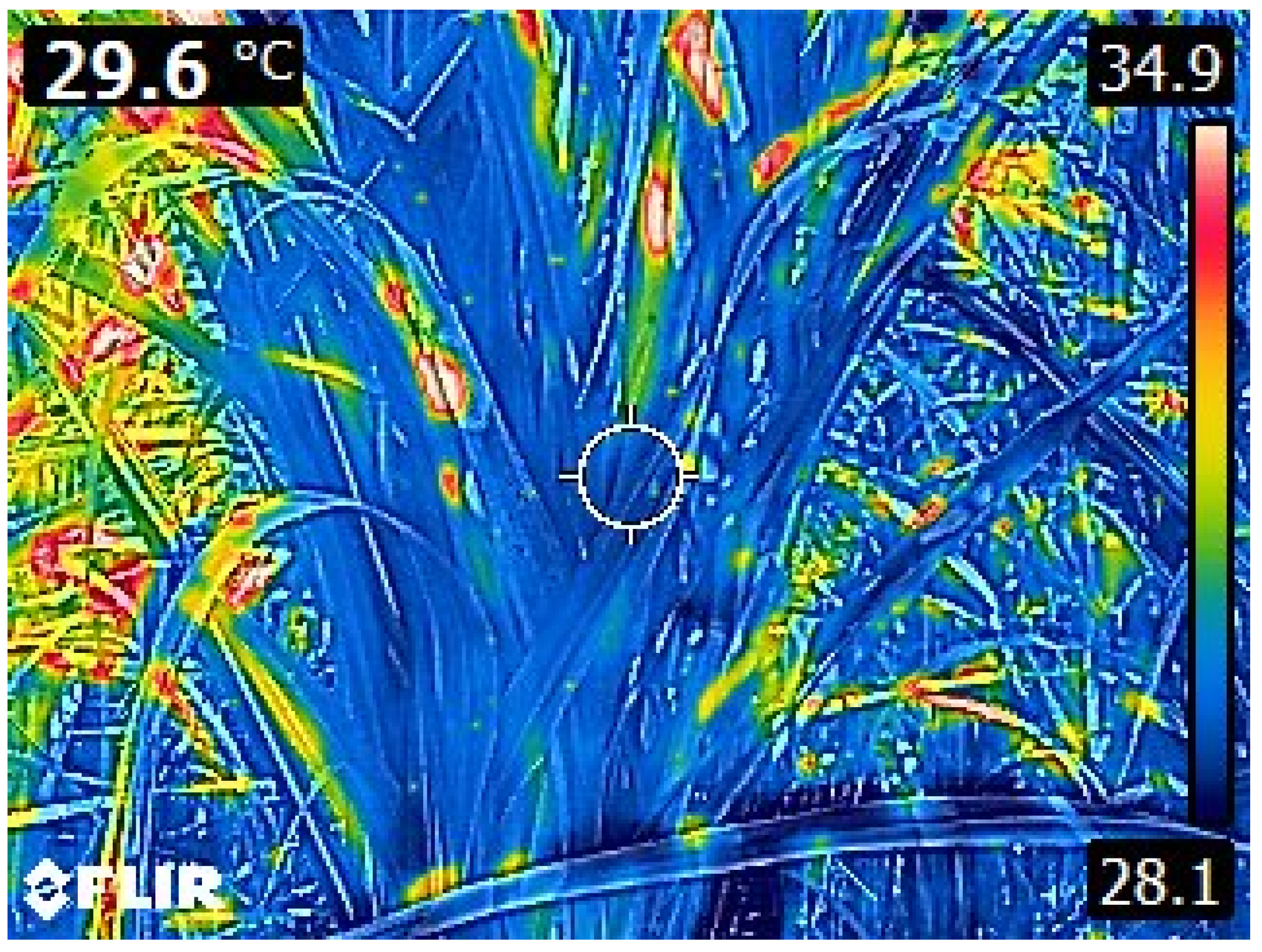 Plants 11 02139 g002