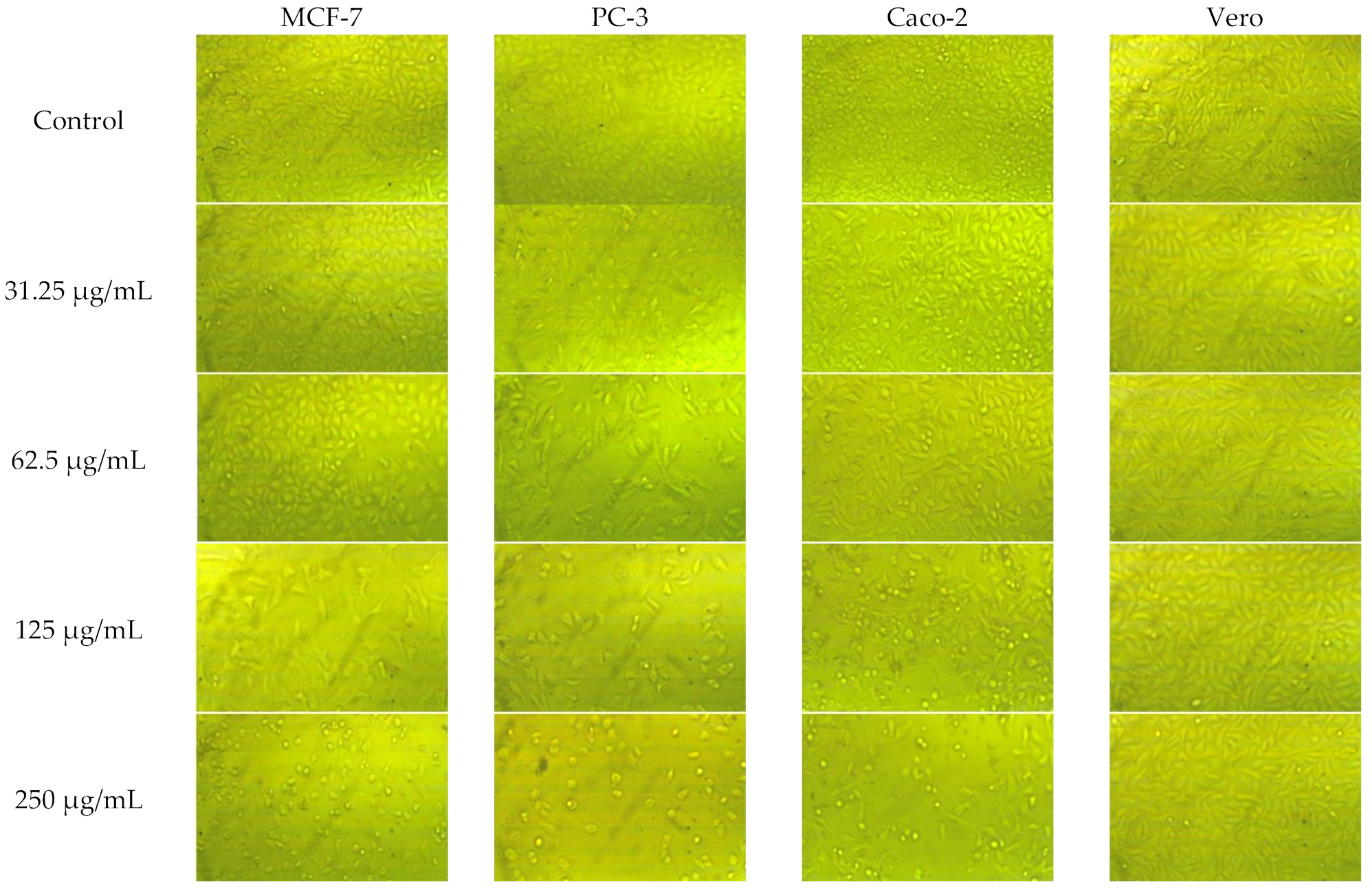 Plants 11 02140 g003a 550
