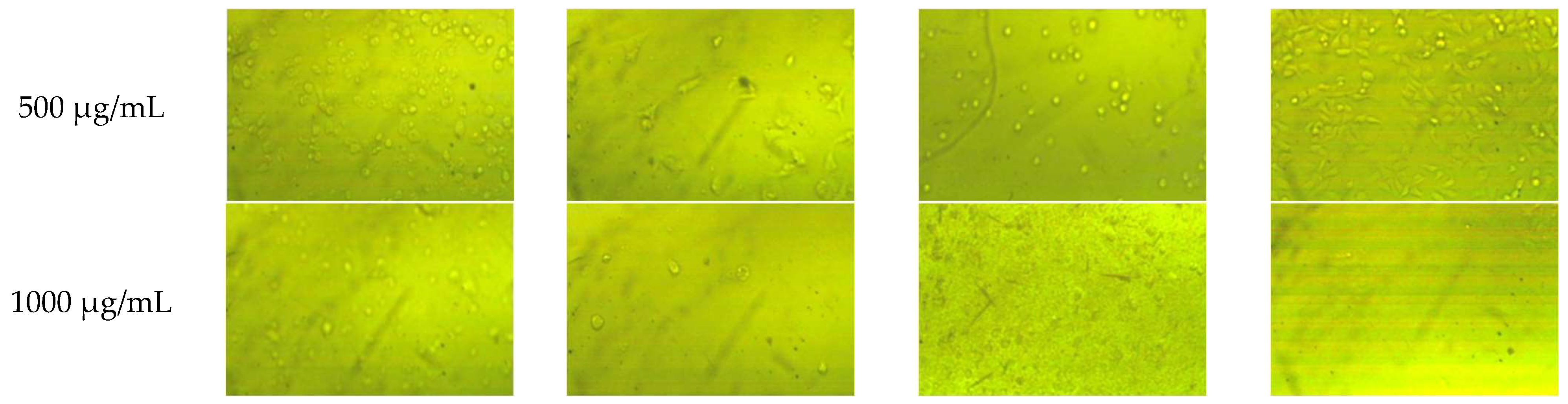 Plants 11 02140 g003b 550