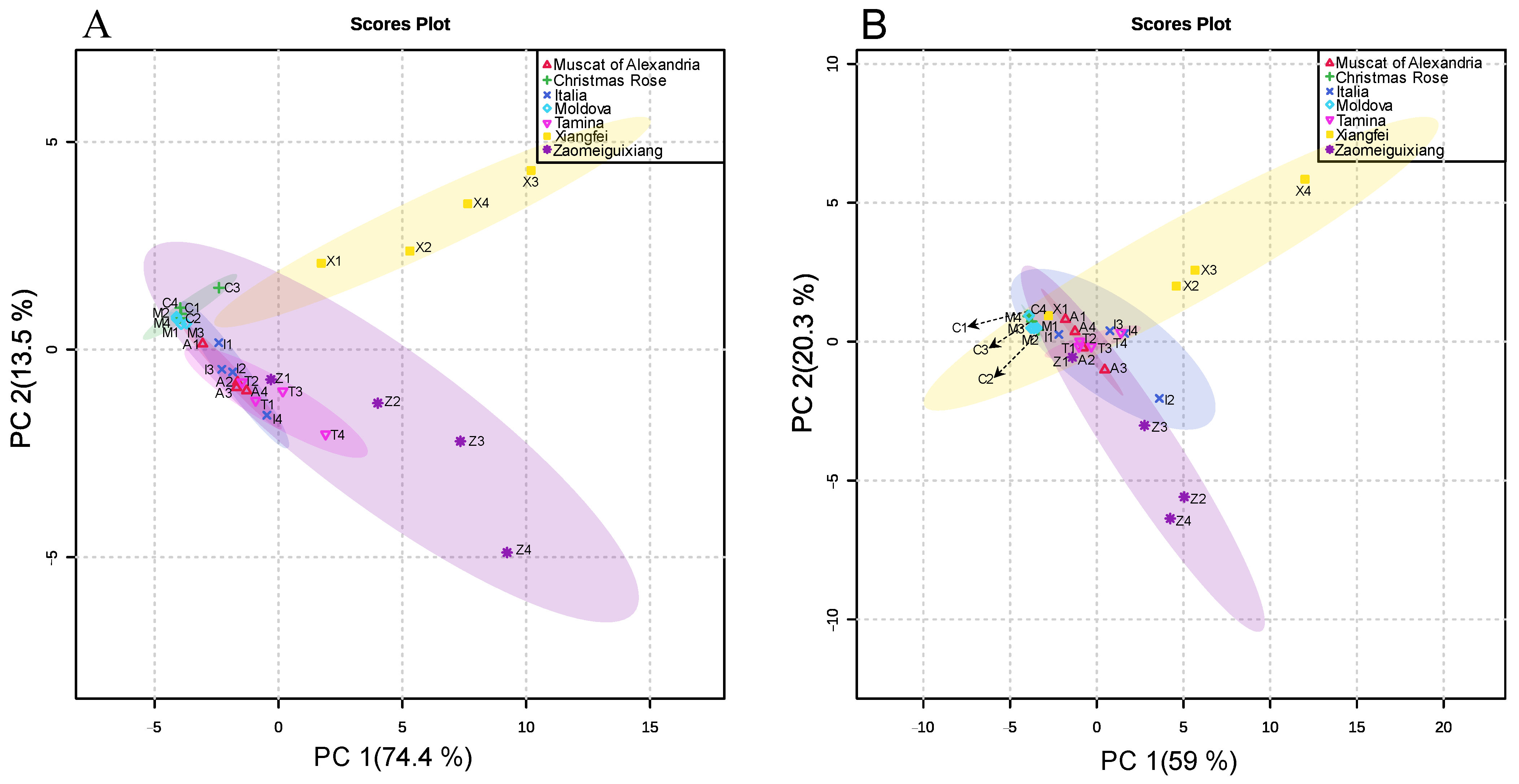 Plants 11 02143 g002