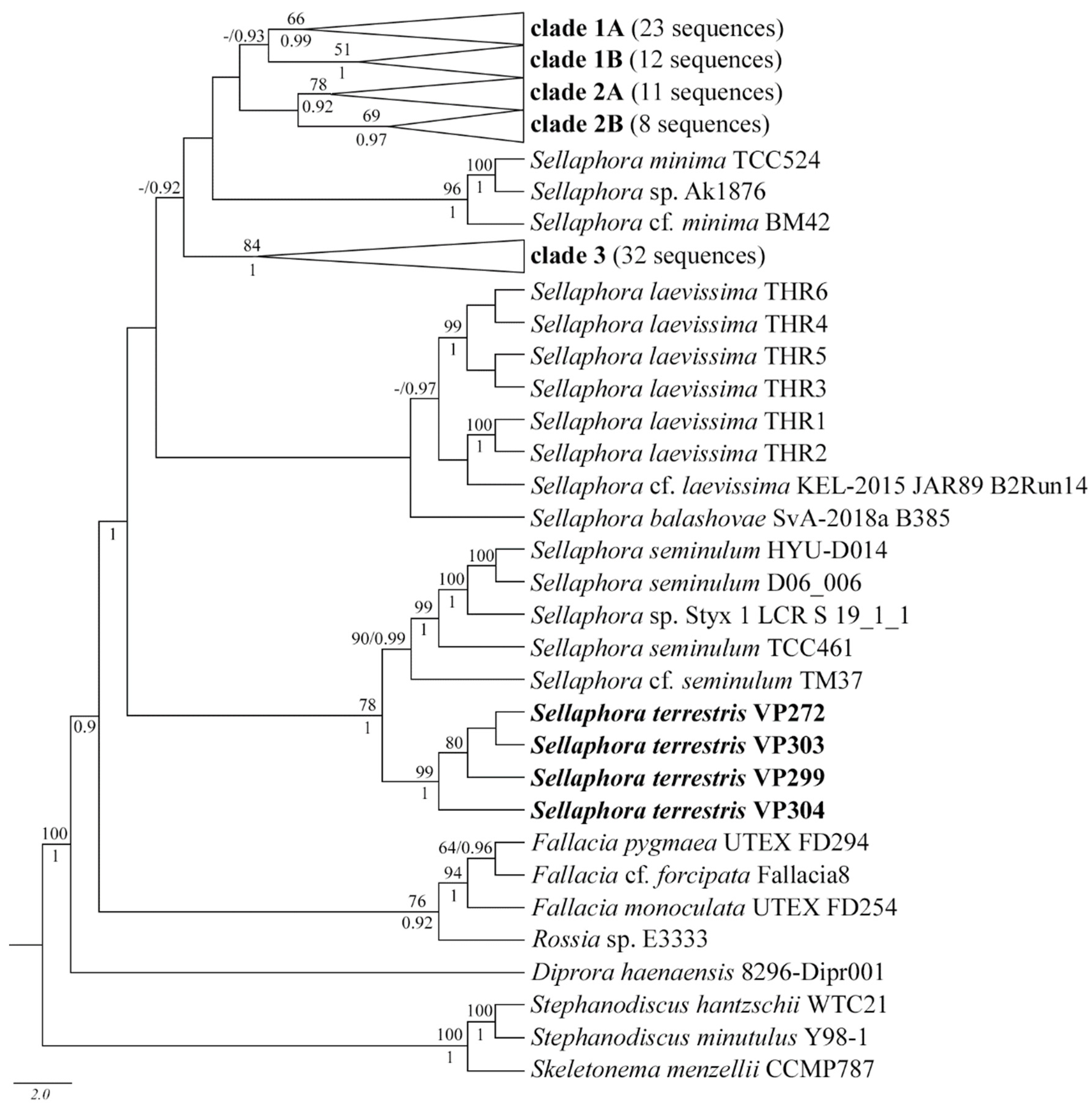 Plants 11 02148 g006