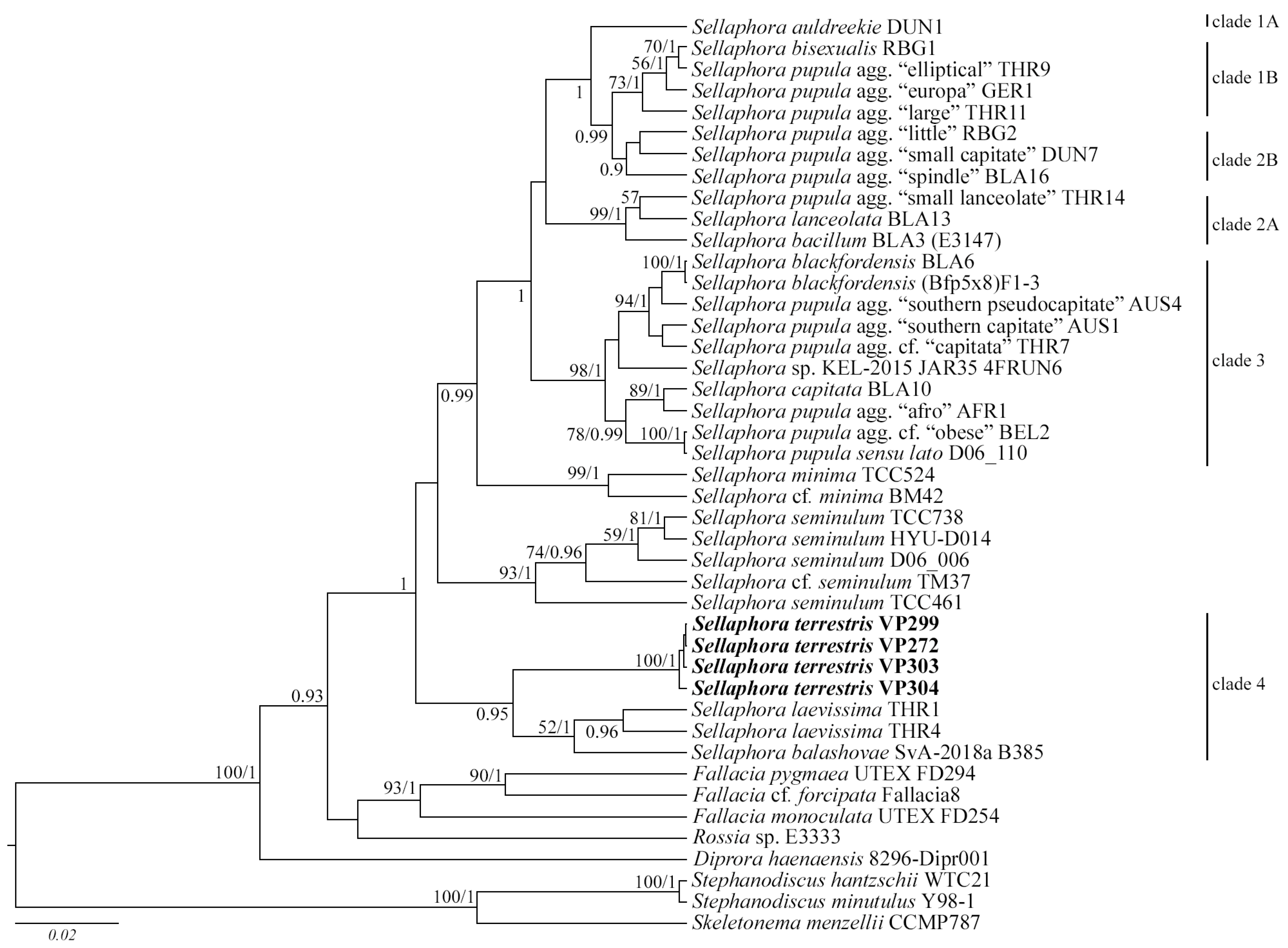 Plants 11 02148 g007