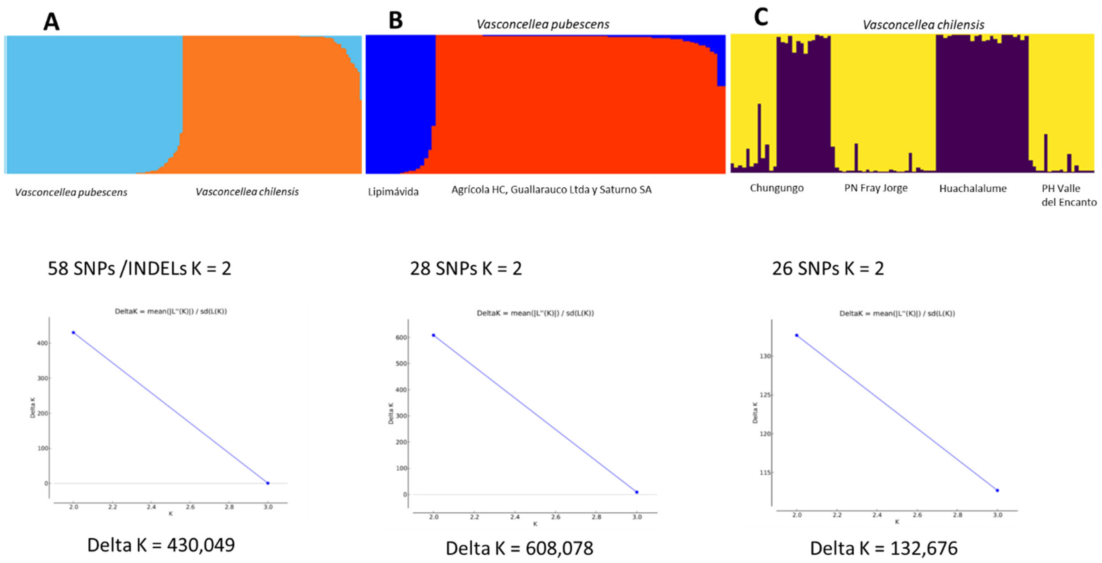 Plants 11 02151 g004