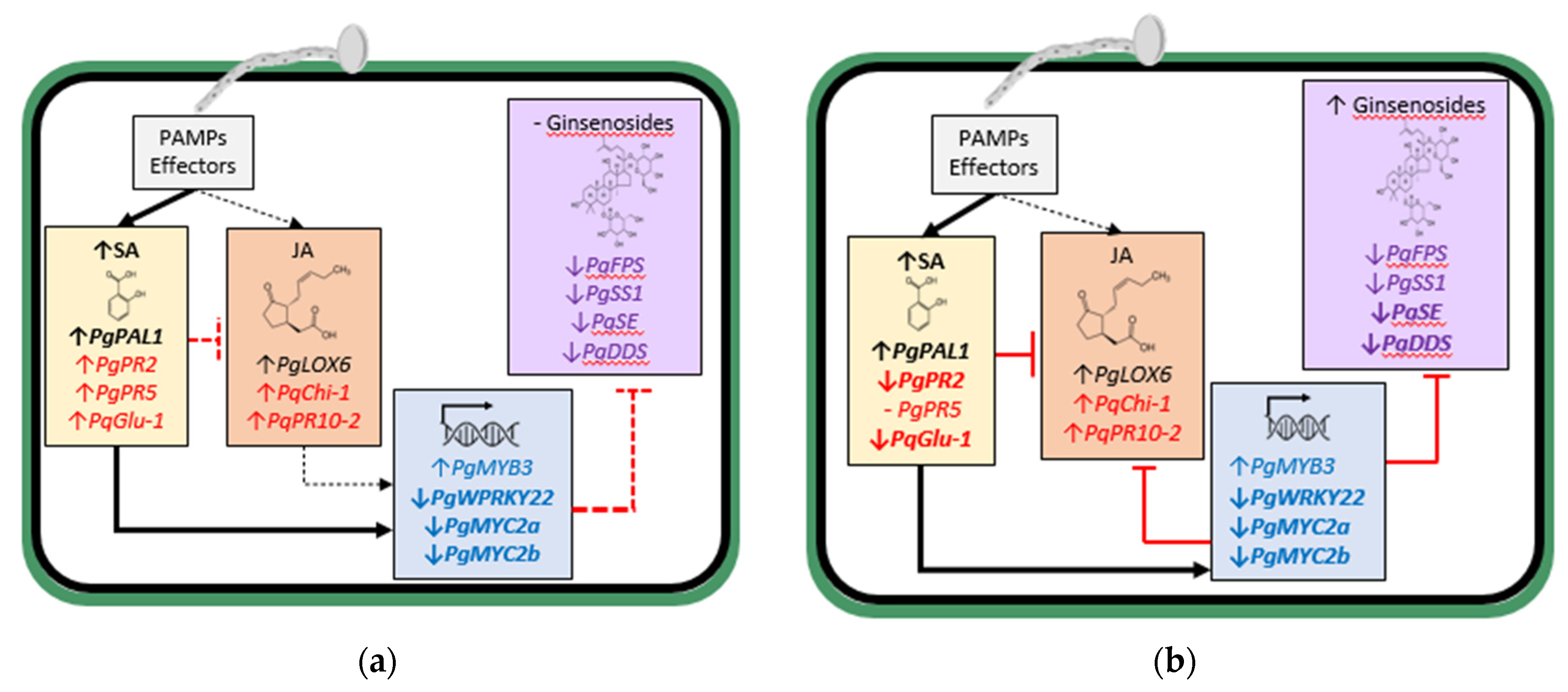 Plants 11 02152 g002a