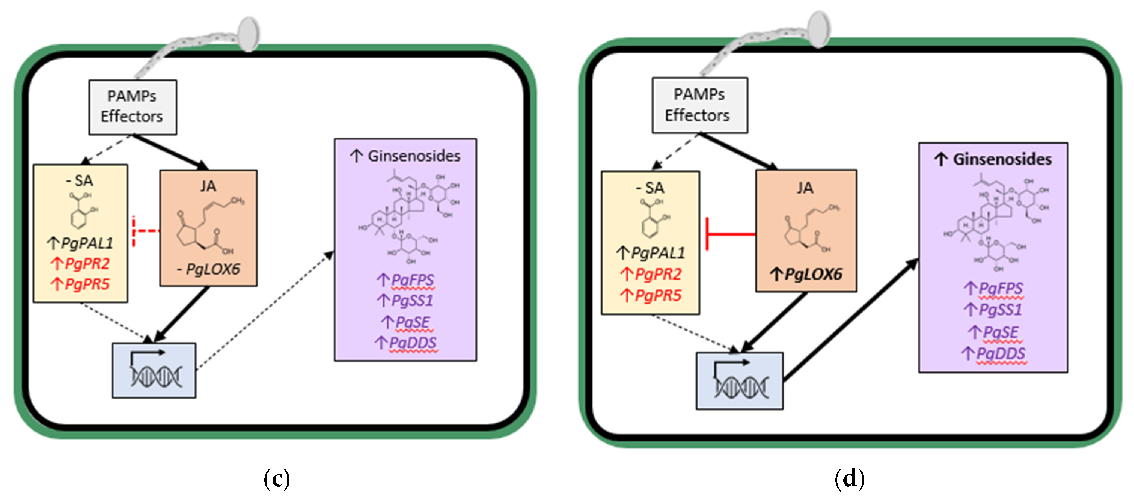 Plants 11 02152 g002b