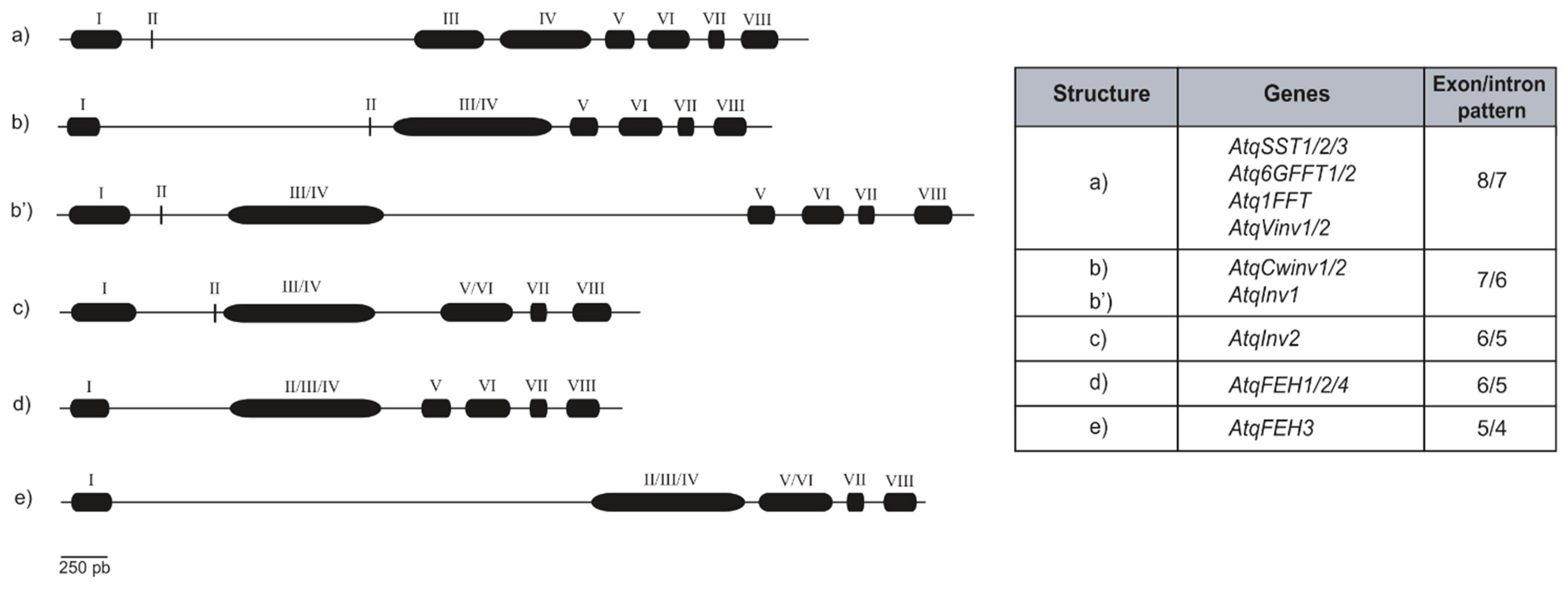 Plants 11 02153 g001 Plants 11 02153 g001