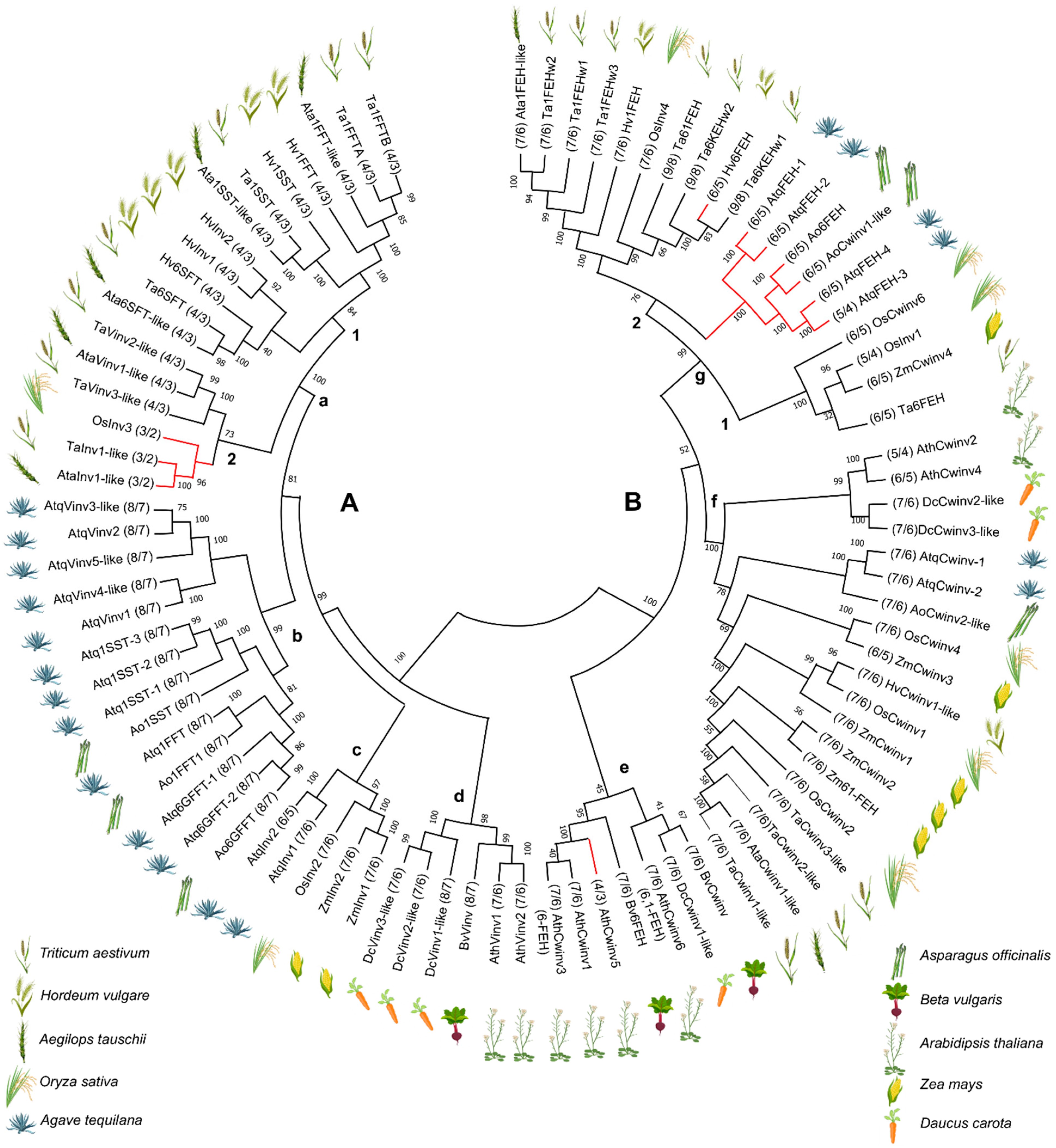 Plants 11 02153 g002 Plants 11 02153 g002