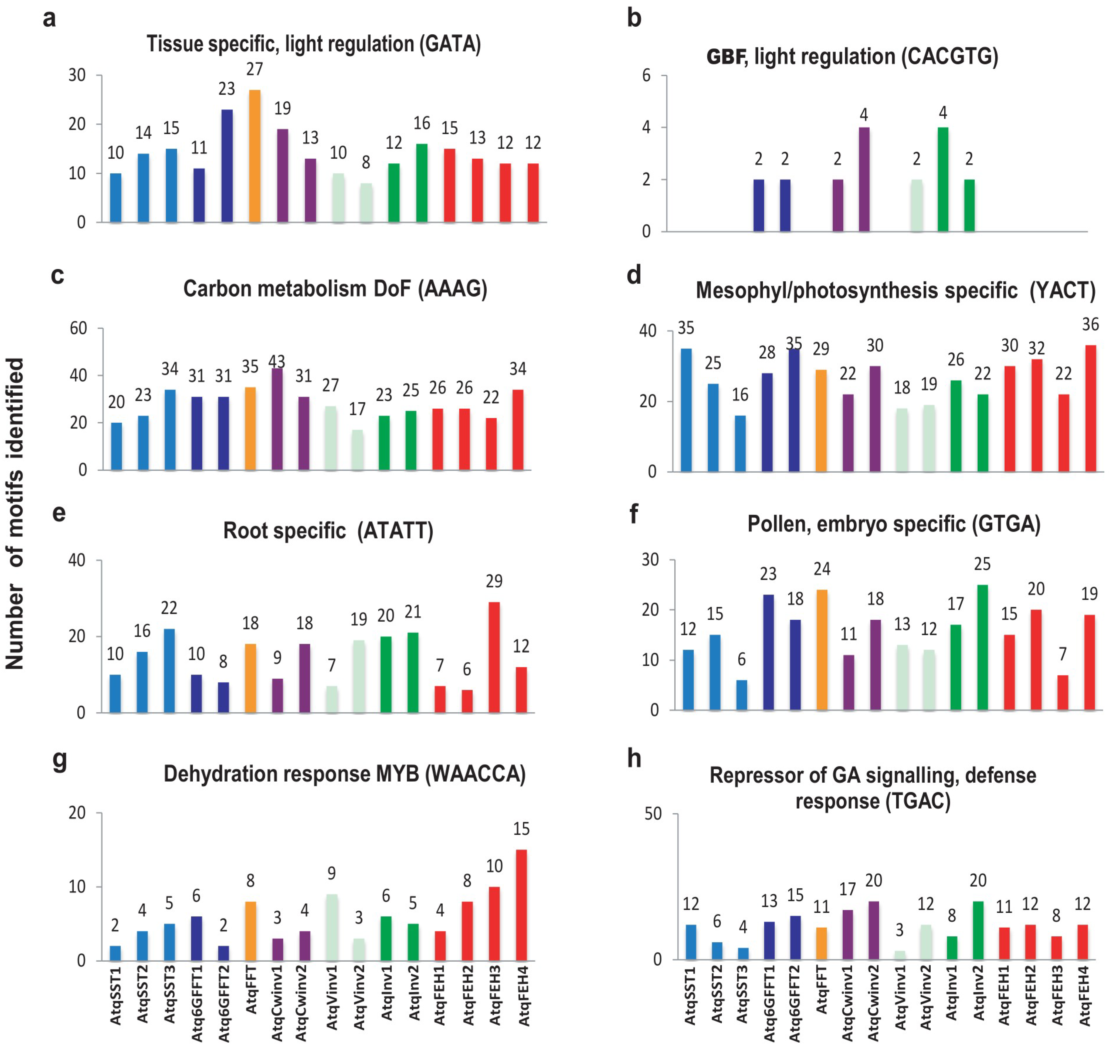 Plants 11 02153 g003 Plants 11 02153 g003
