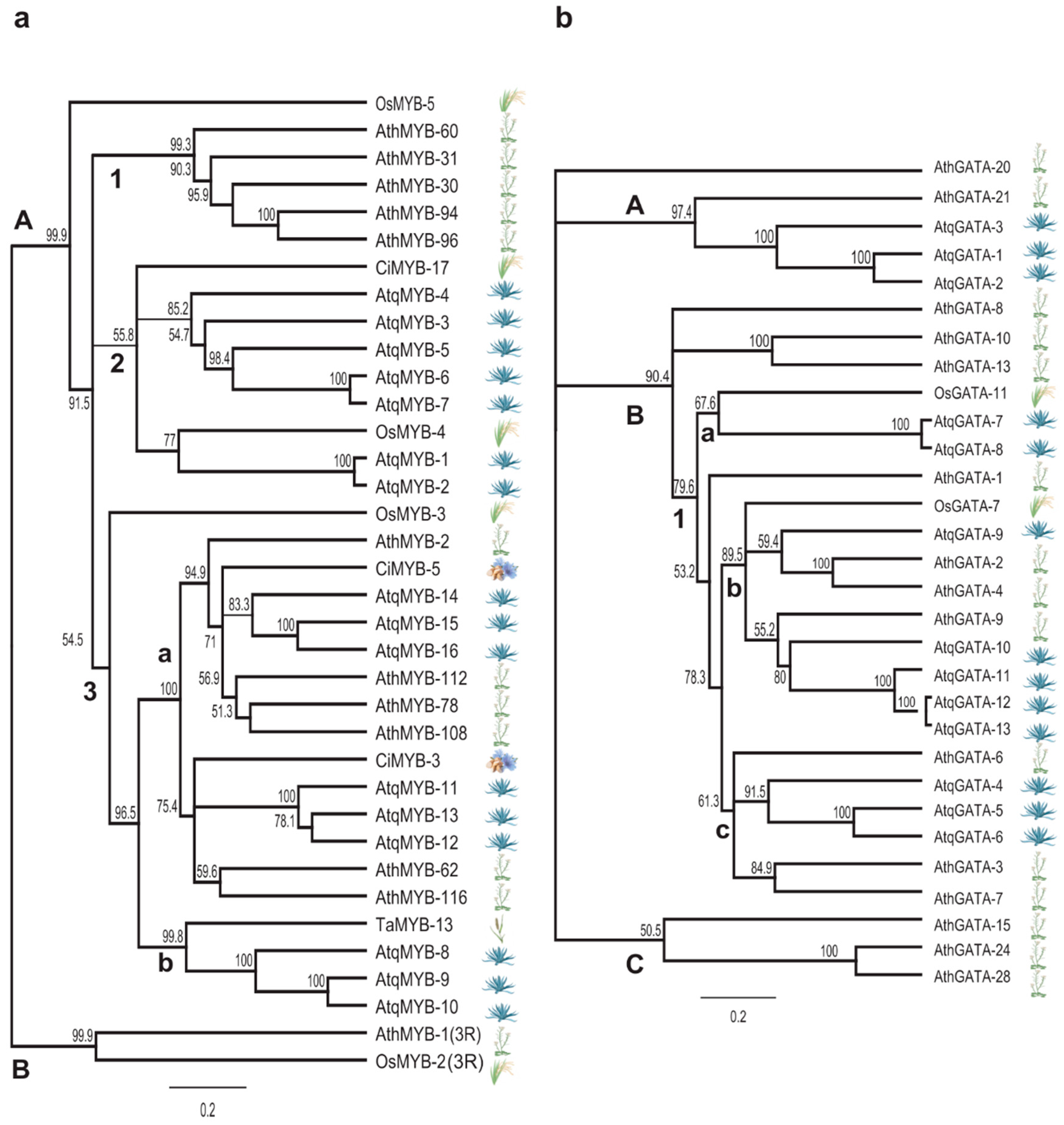 Plants 11 02153 g006a Plants 11 02153 g006a