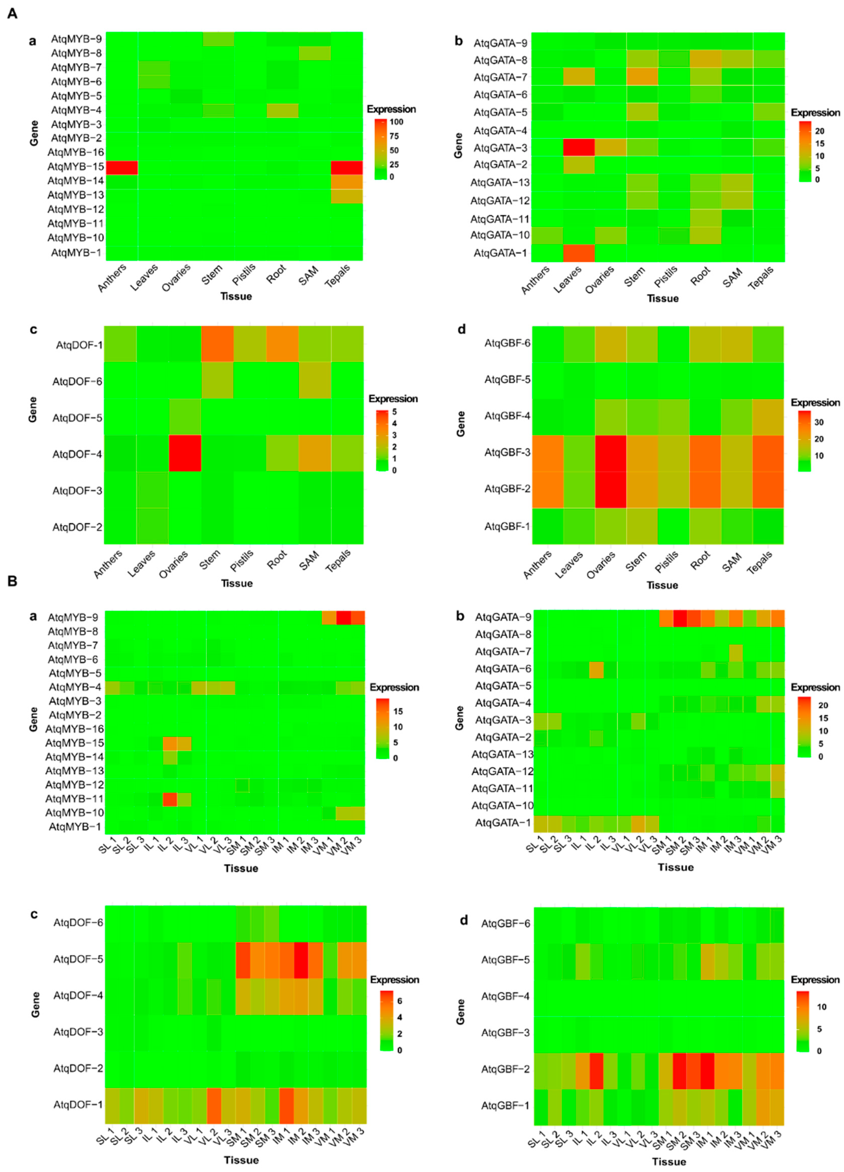 Plants 11 02153 g007 Plants 11 02153 g007