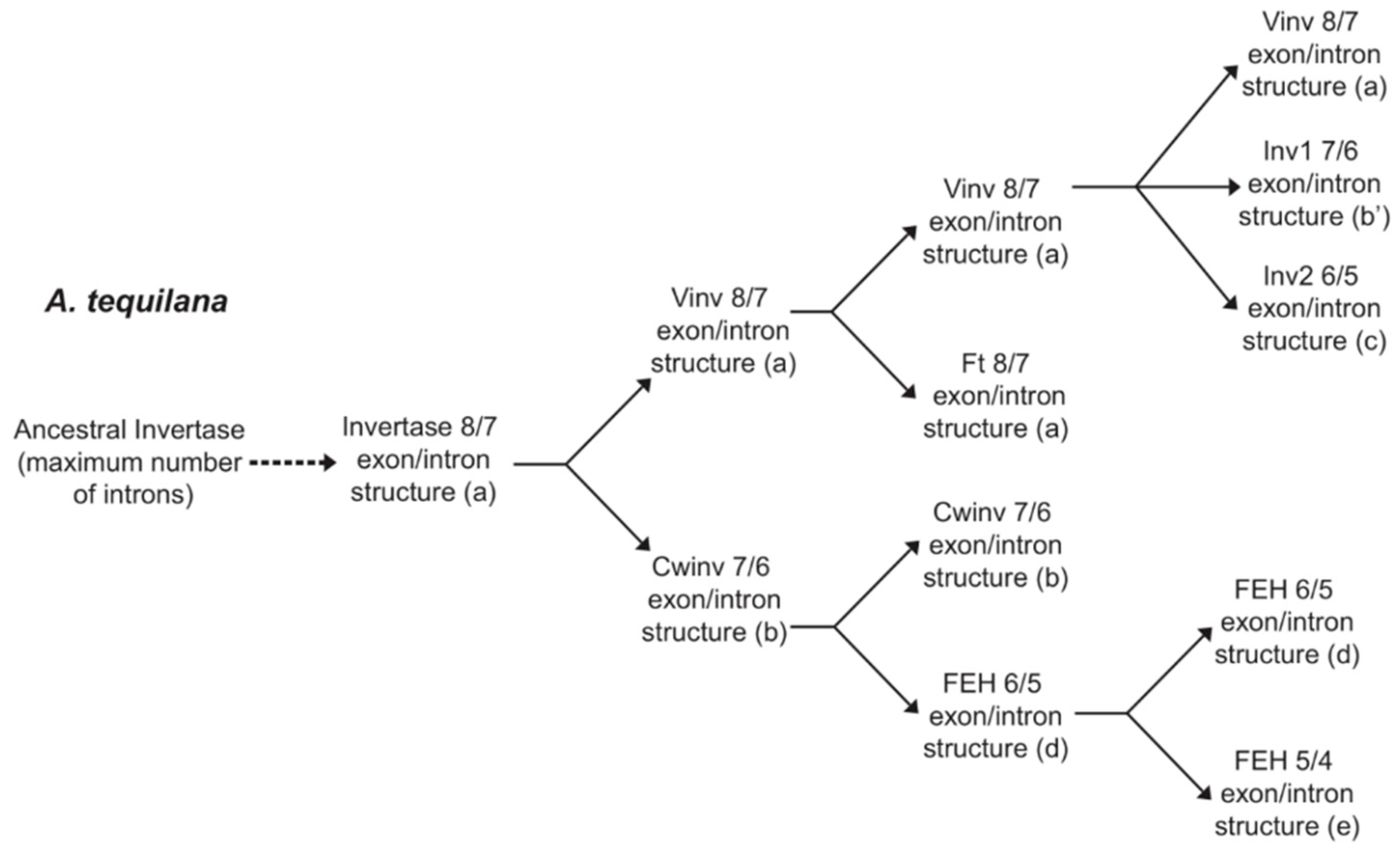 Plants 11 02153 g008 Plants 11 02153 g008