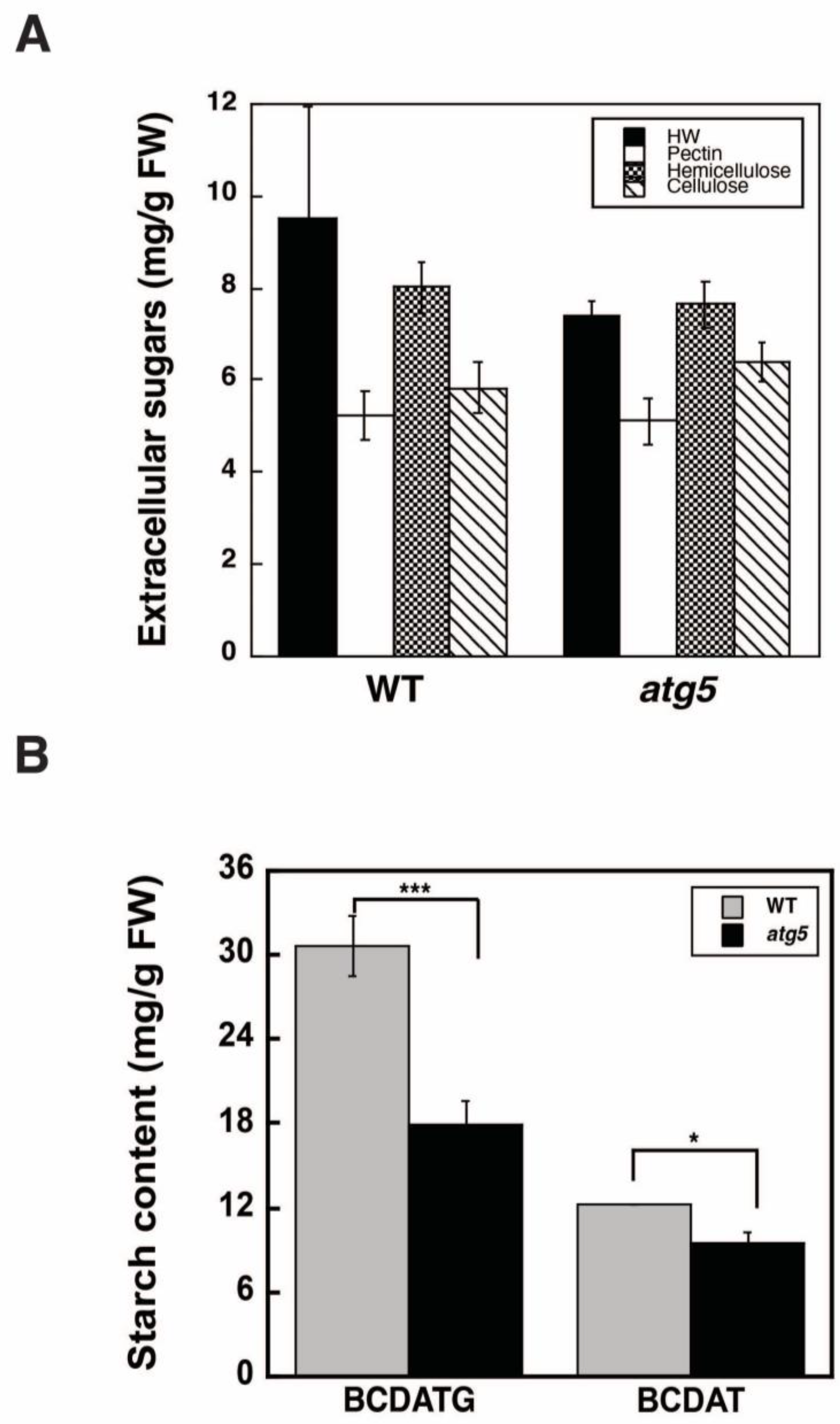 Plants 11 02157 g002