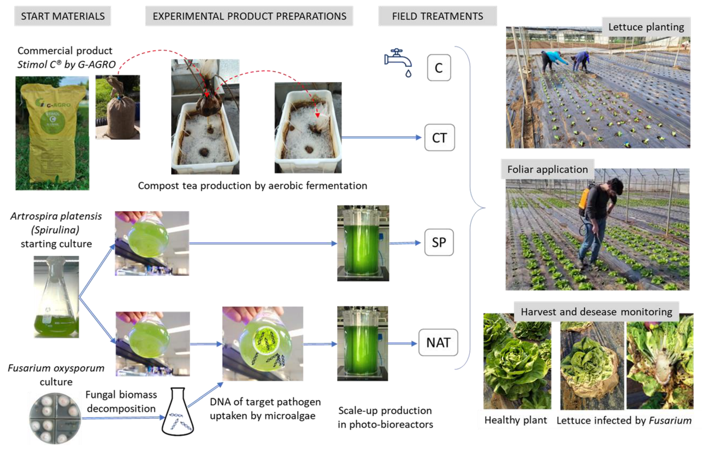 Plants 11 02164 g001 550