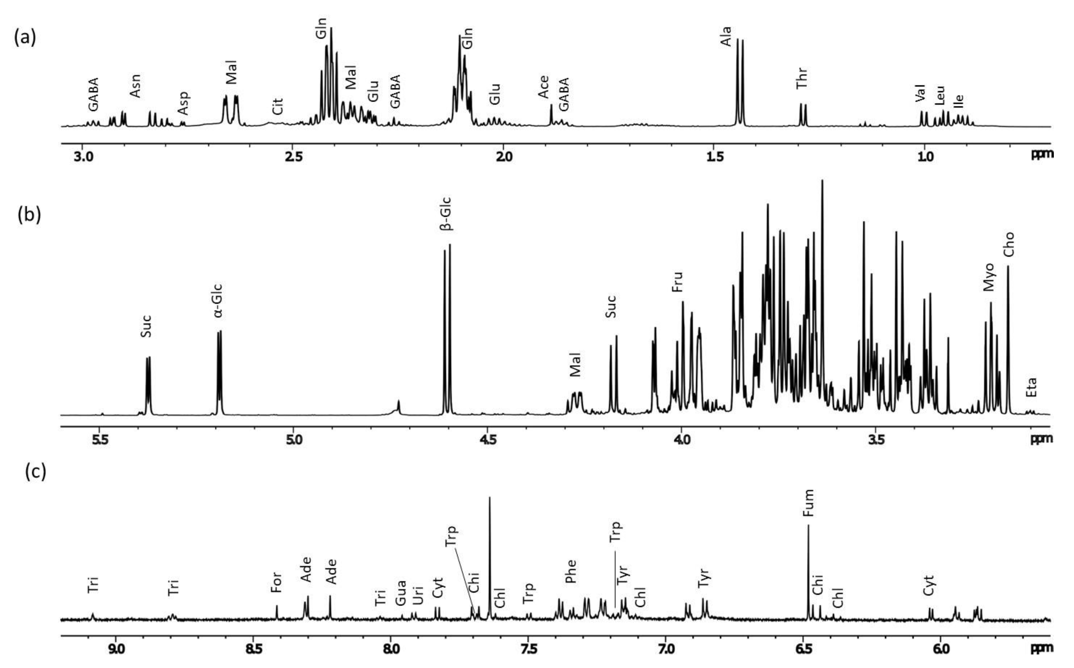 Plants 11 02164 g004 550