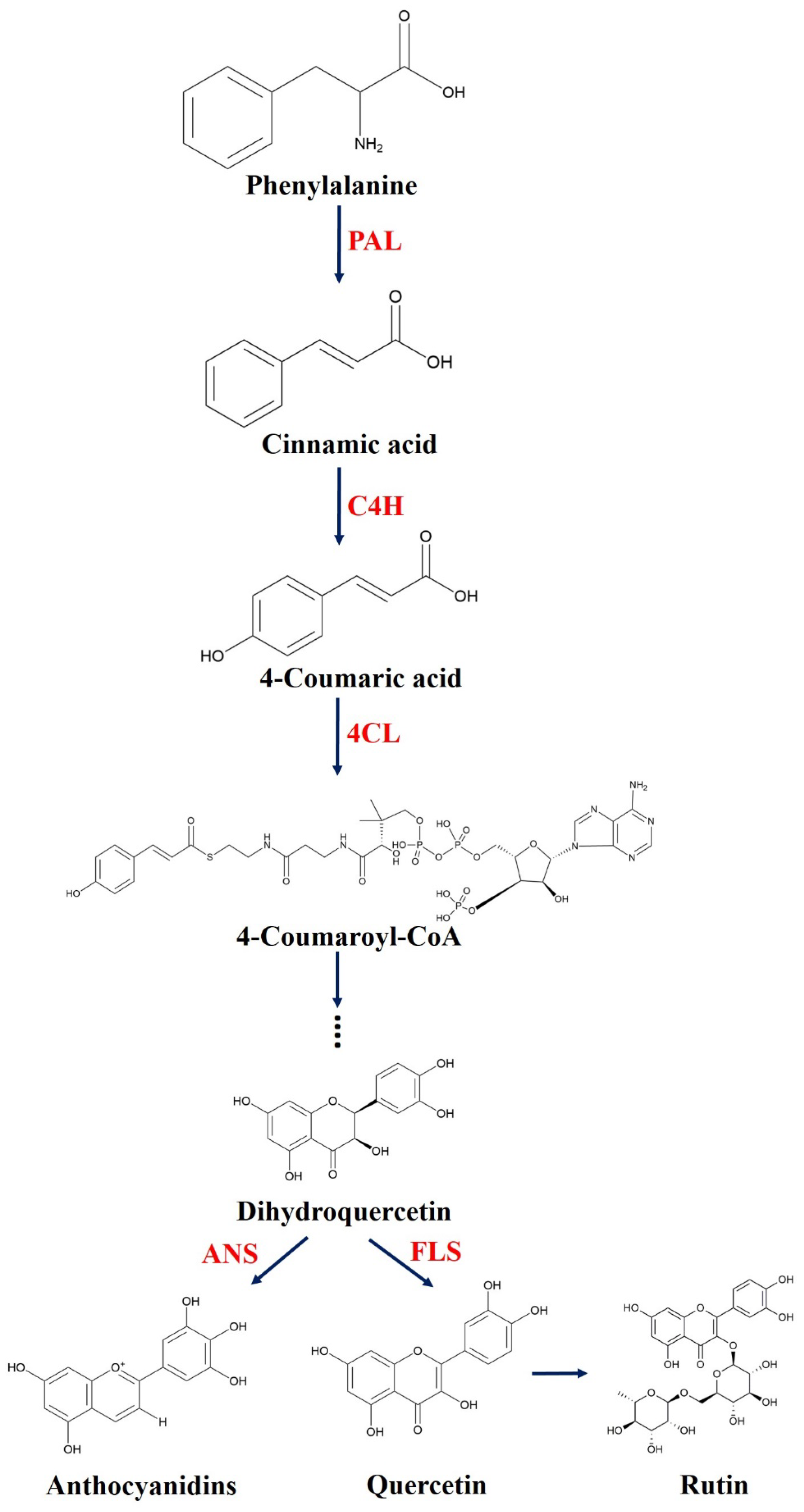 Plants 11 02165 g001 550