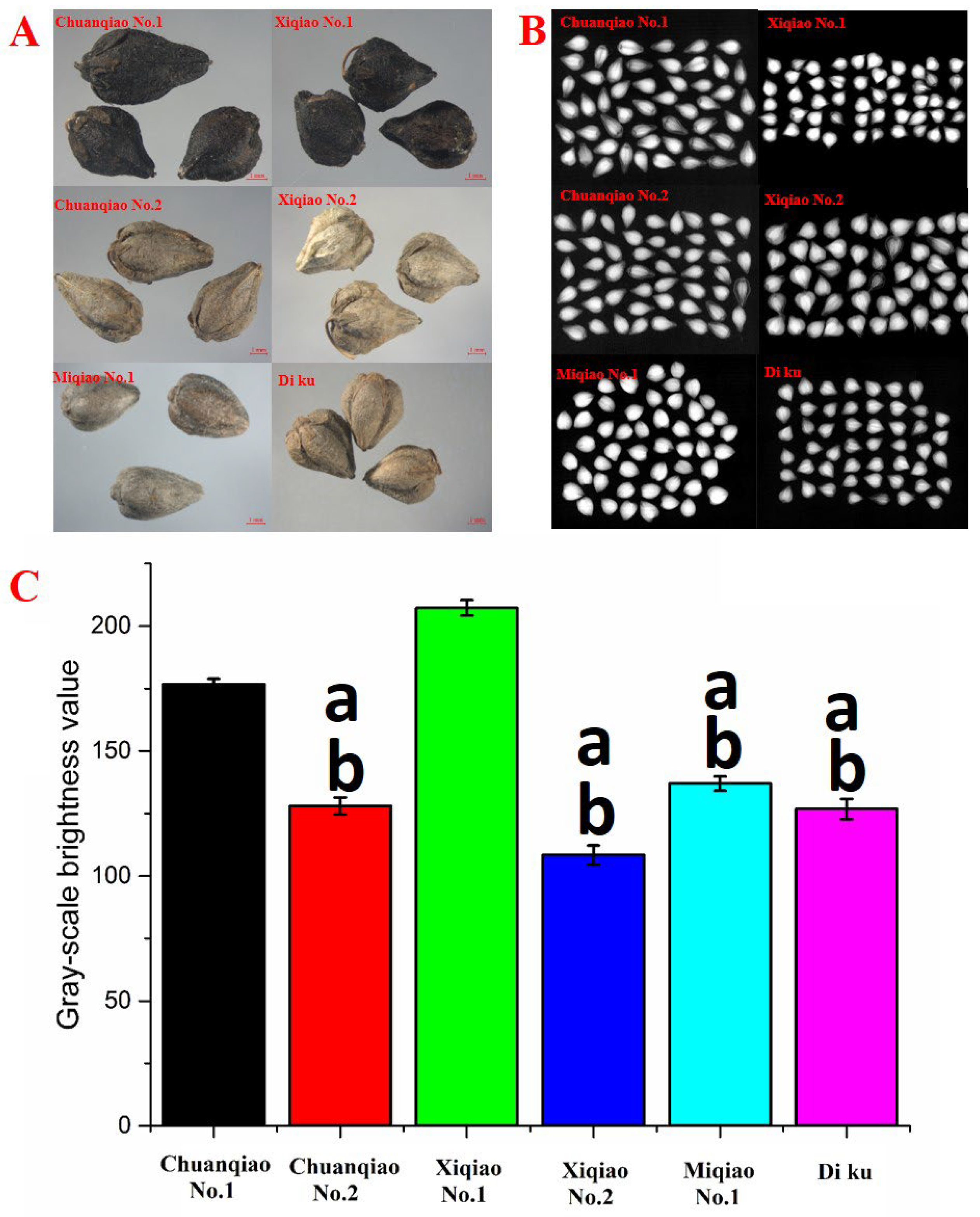 Plants 11 02165 g007 550