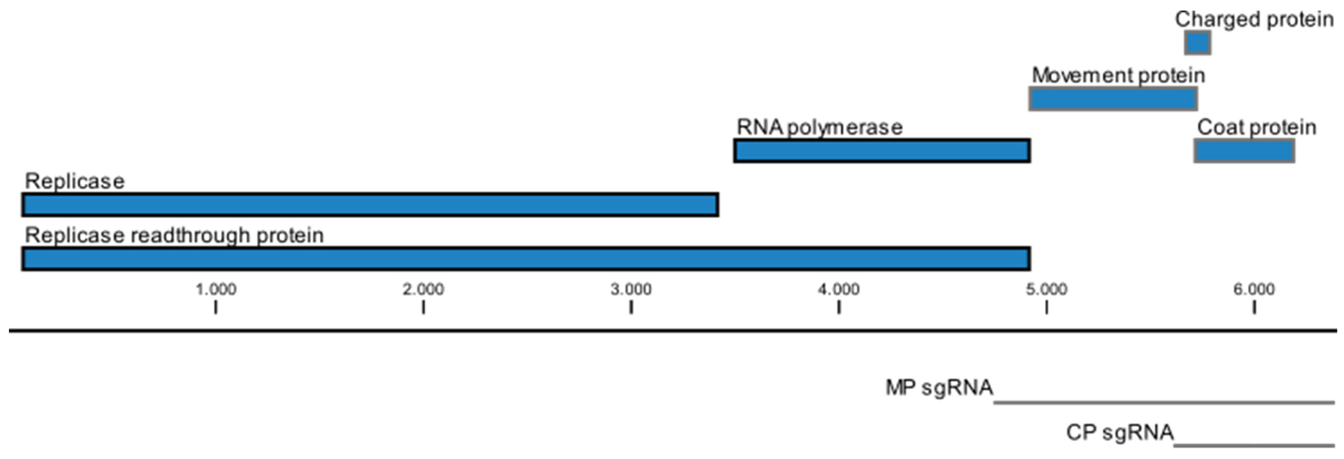 Plants 11 02166 g003