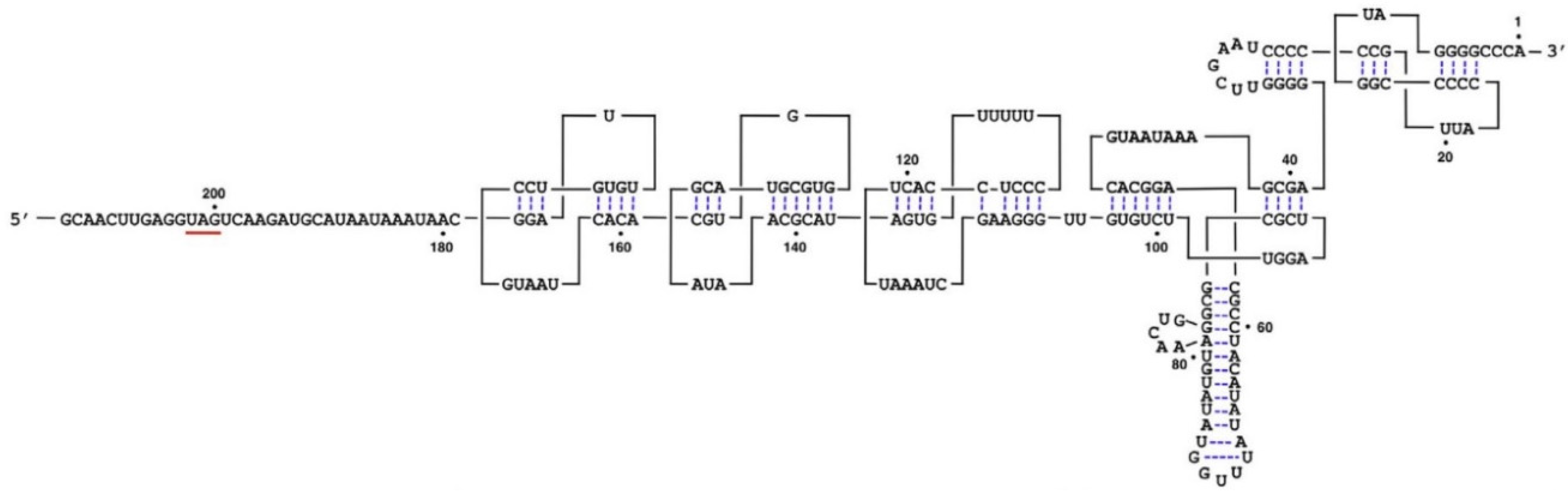 Plants 11 02166 g004