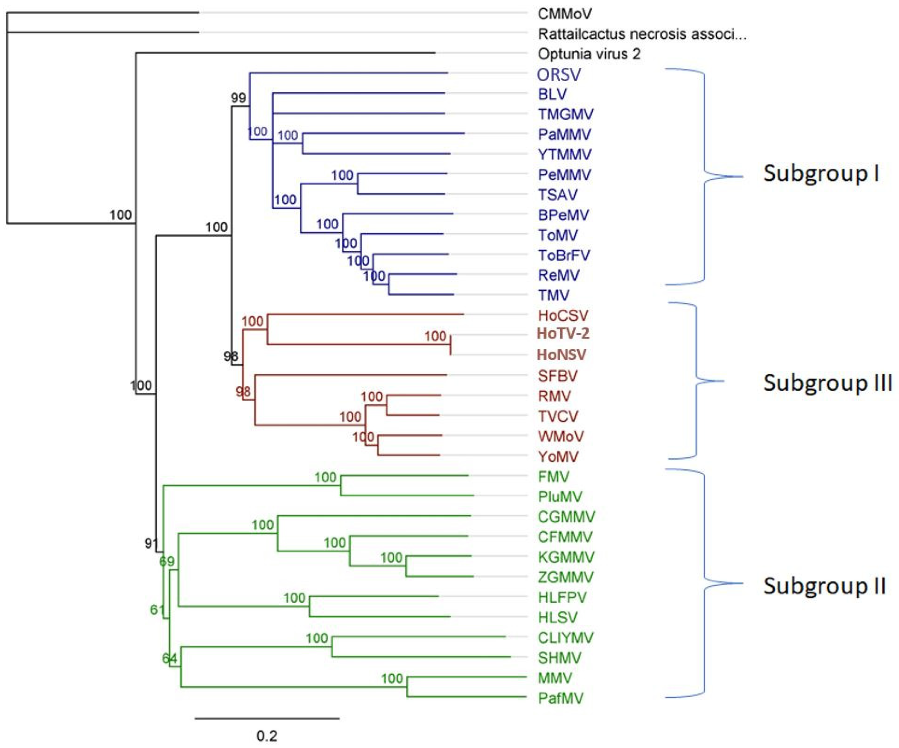 Plants 11 02166 g005