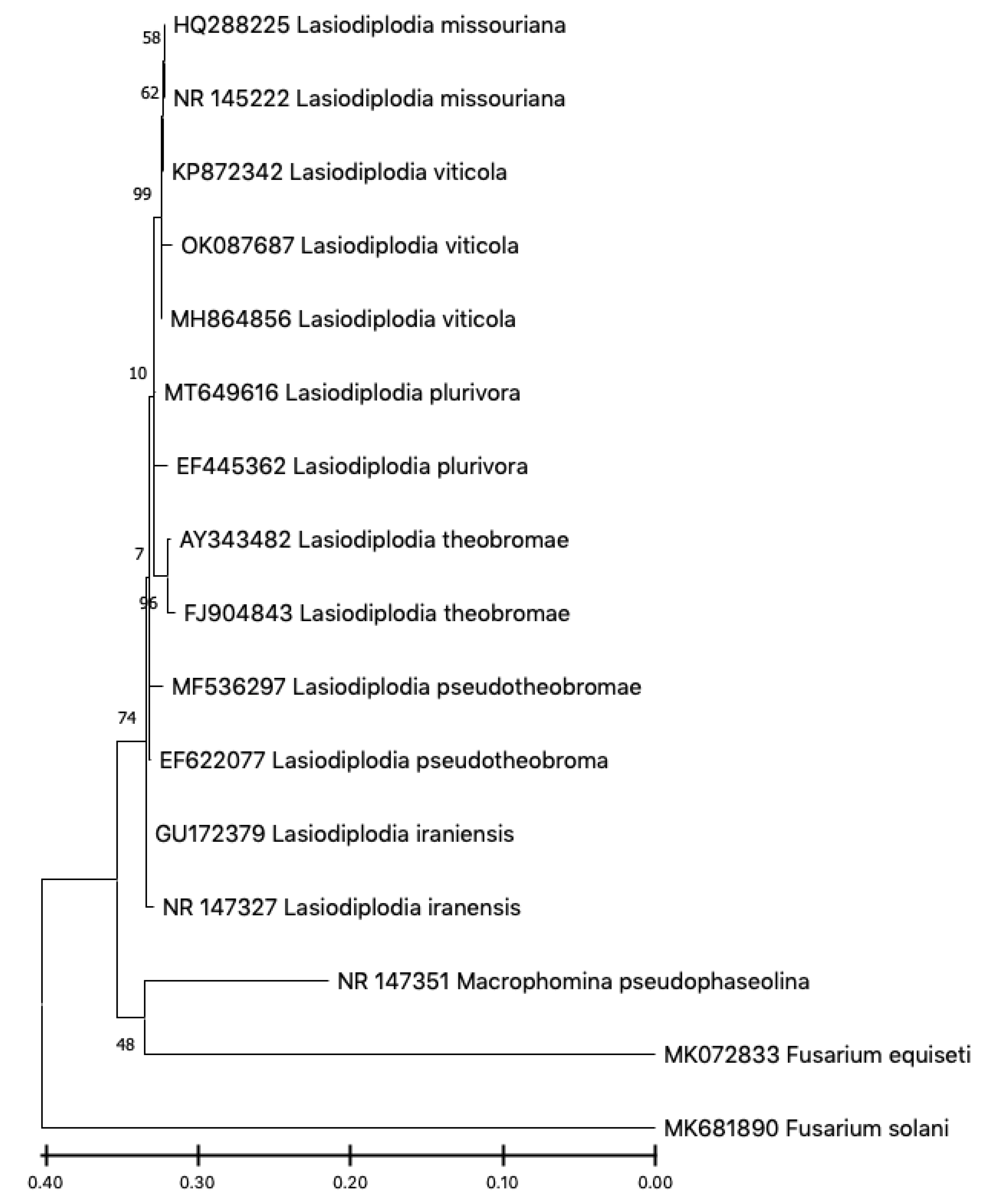 Plants 11 02167 g003