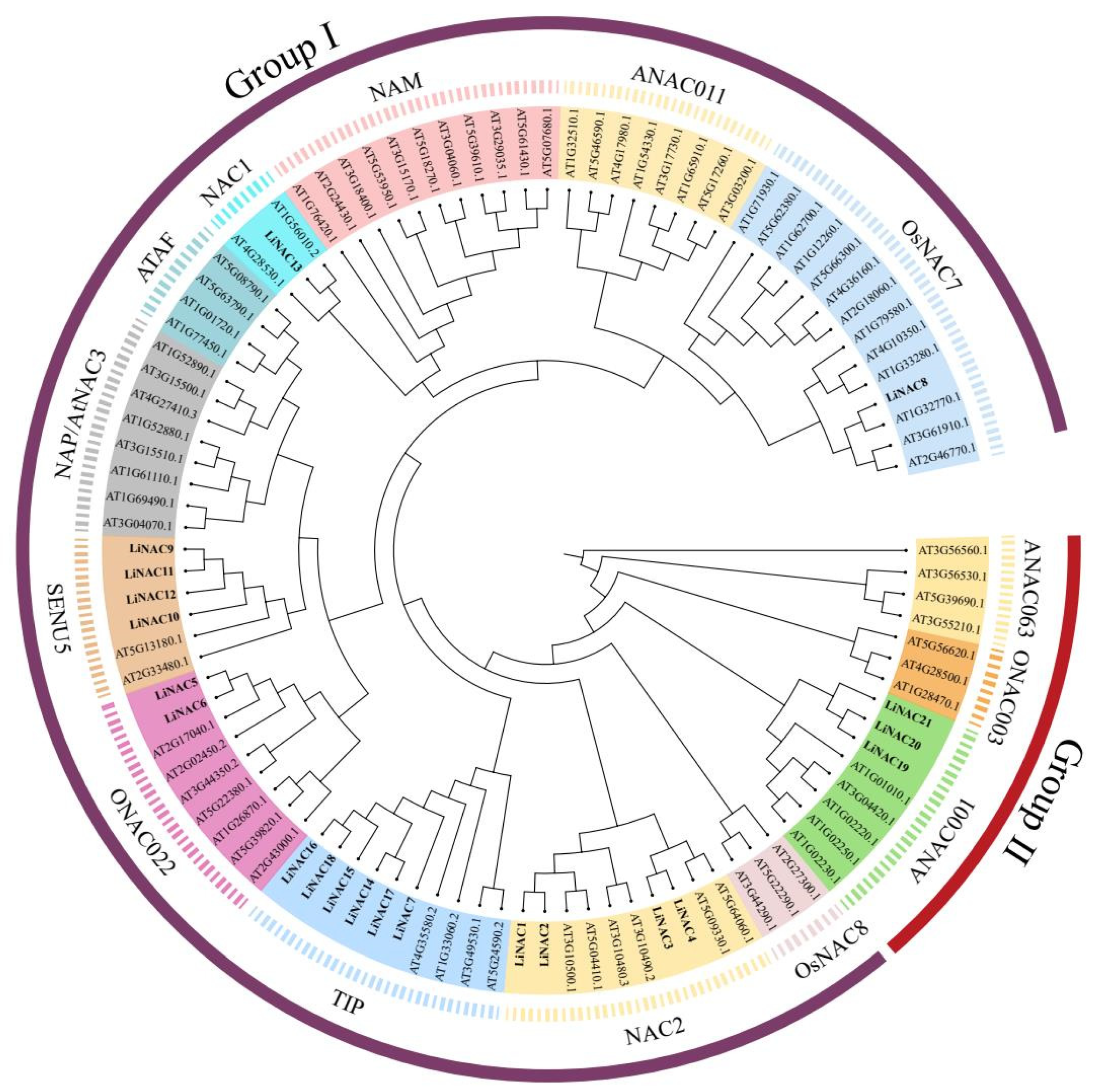 Plants 11 02168 g001 550