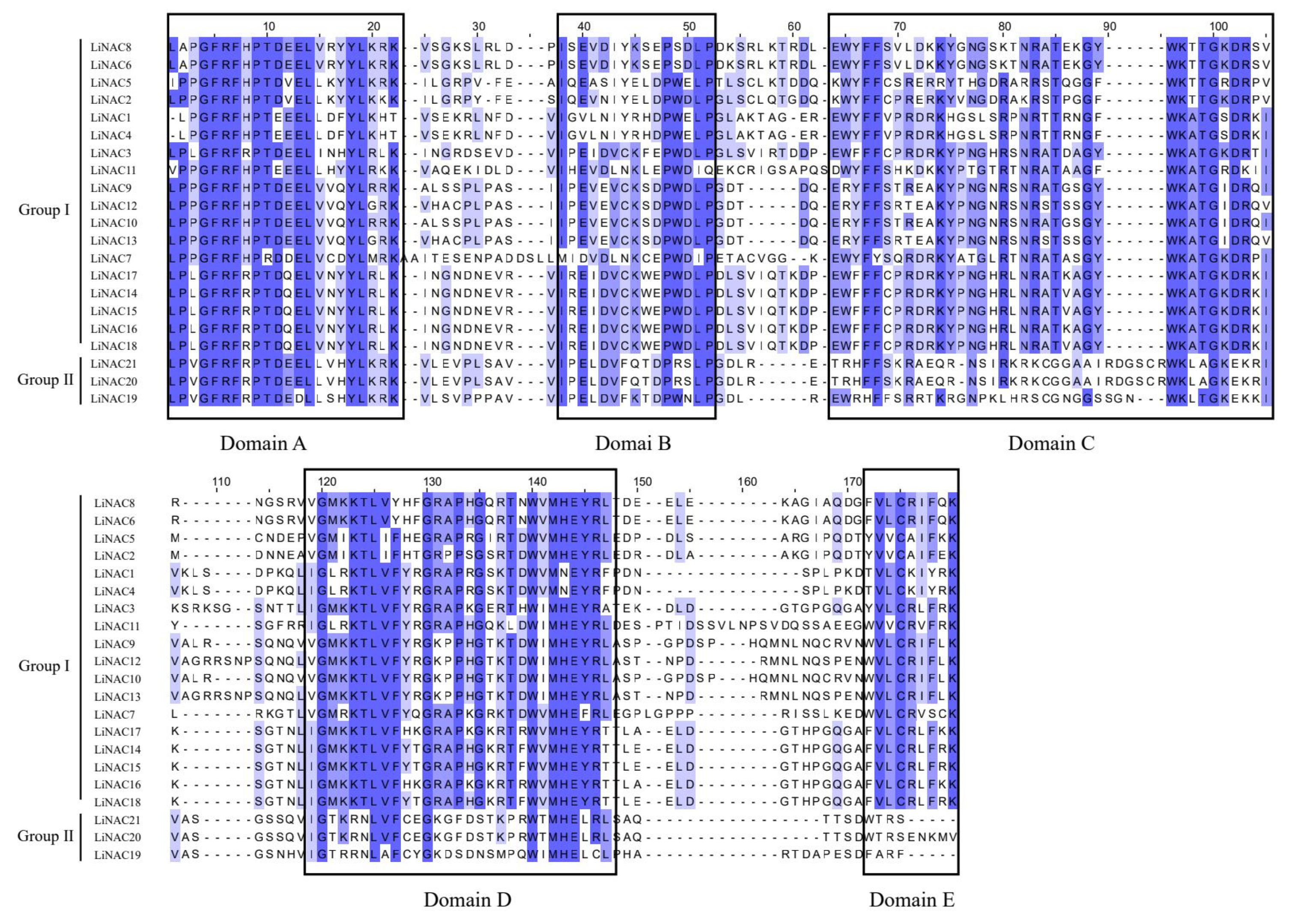 Plants 11 02168 g002 550