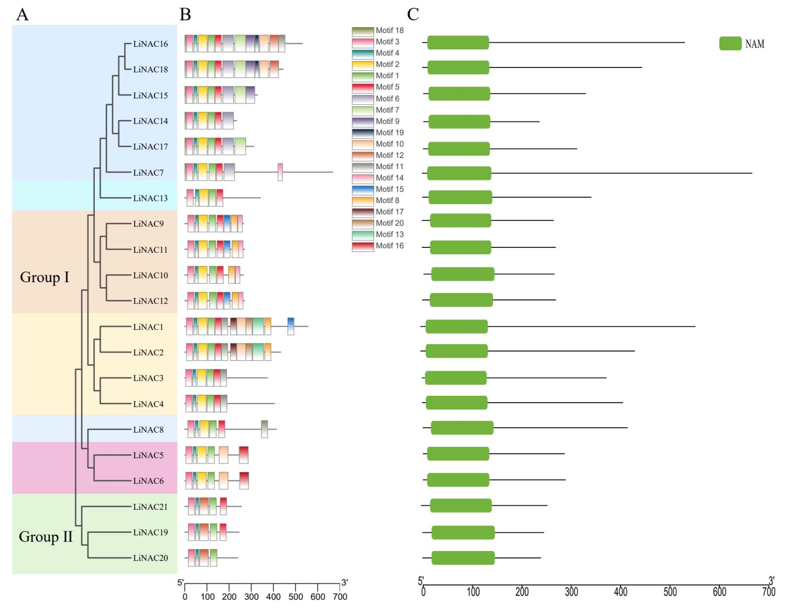Plants 11 02168 g004 550