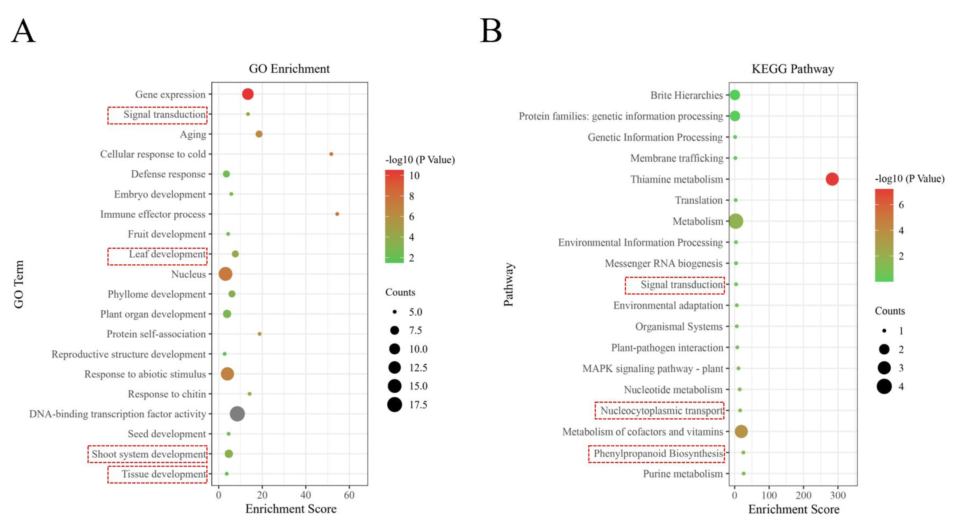 Plants 11 02168 g005 550
