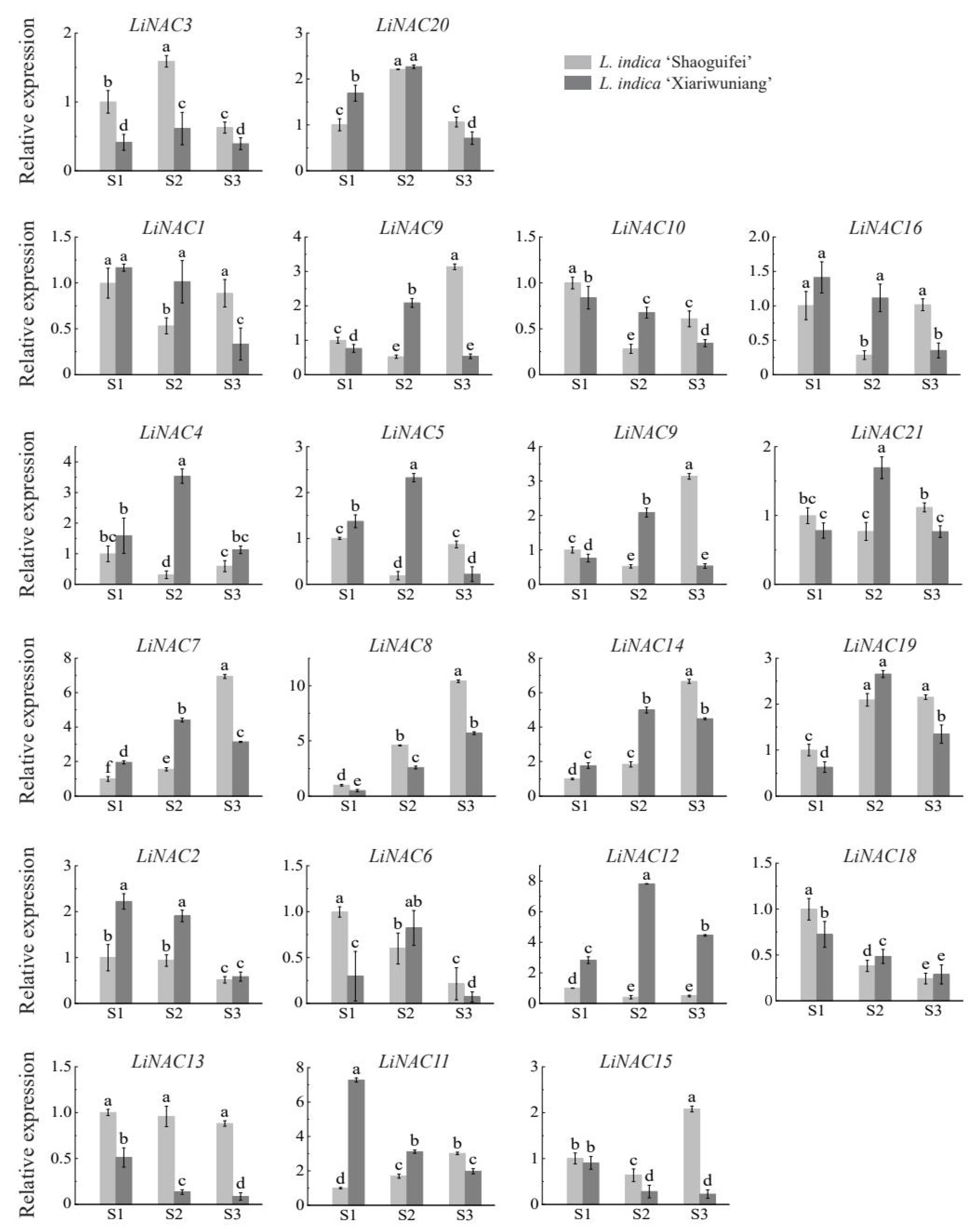 Plants 11 02168 g007 550