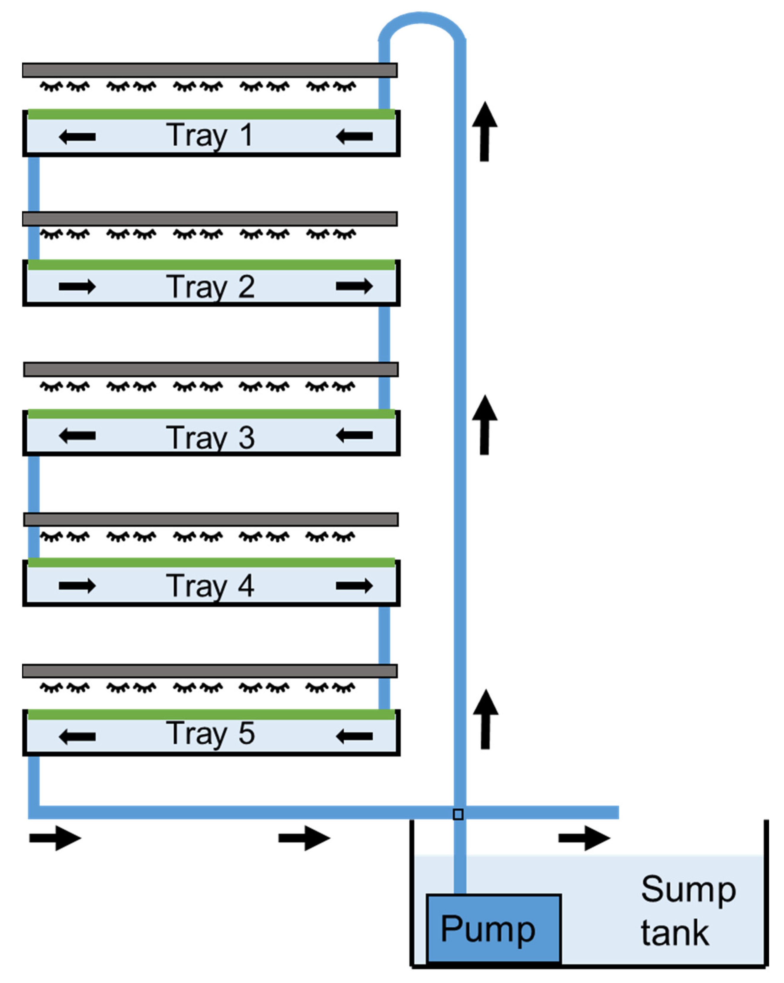 Plants 11 02170 g001 550