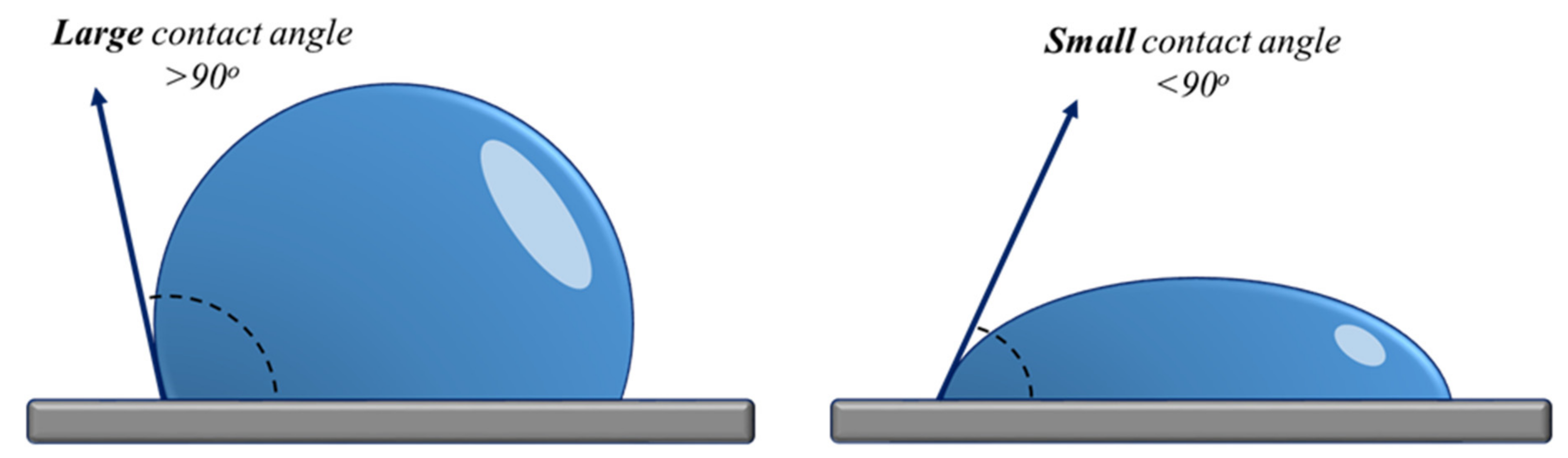 Plants 11 02181 g004