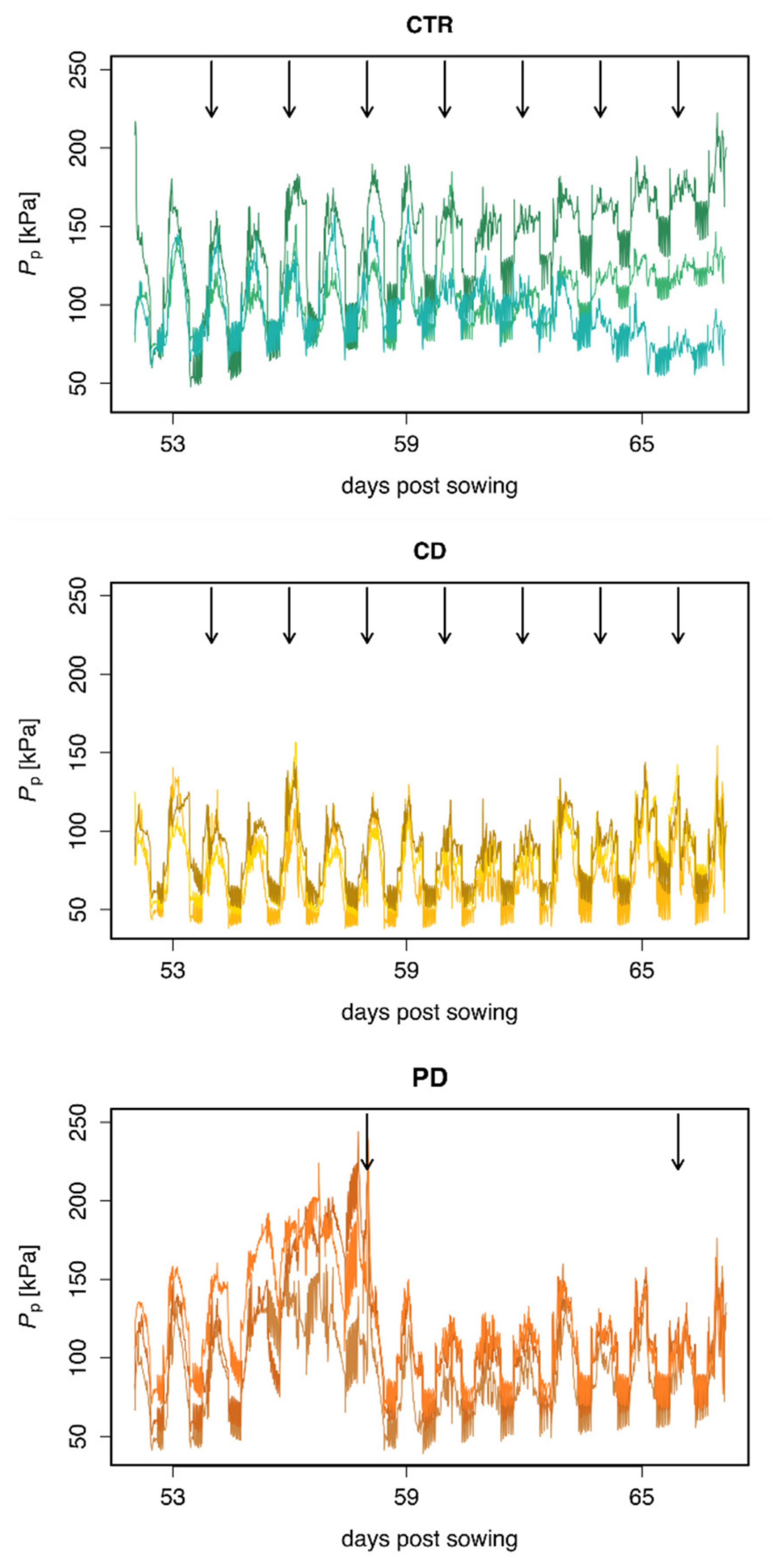 Plants 11 02187 g001 550