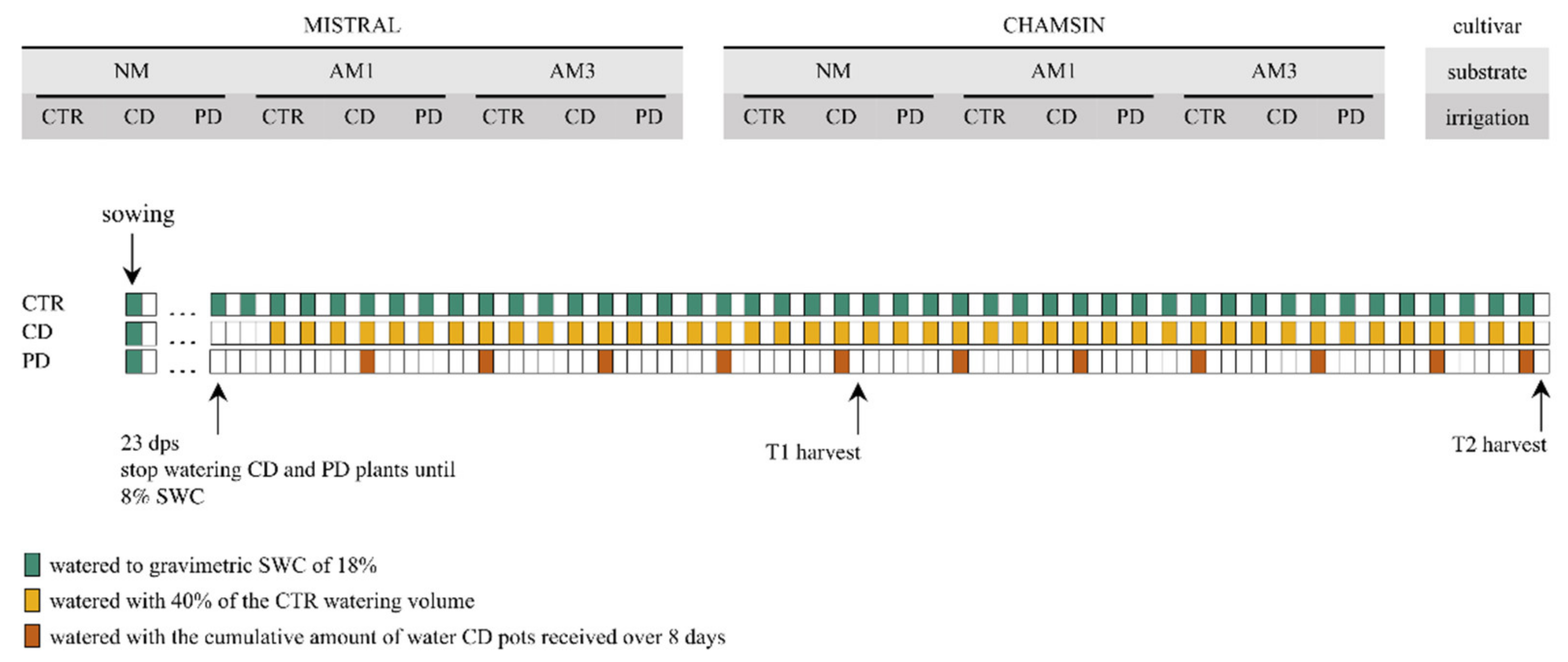 Plants 11 02187 g008 550