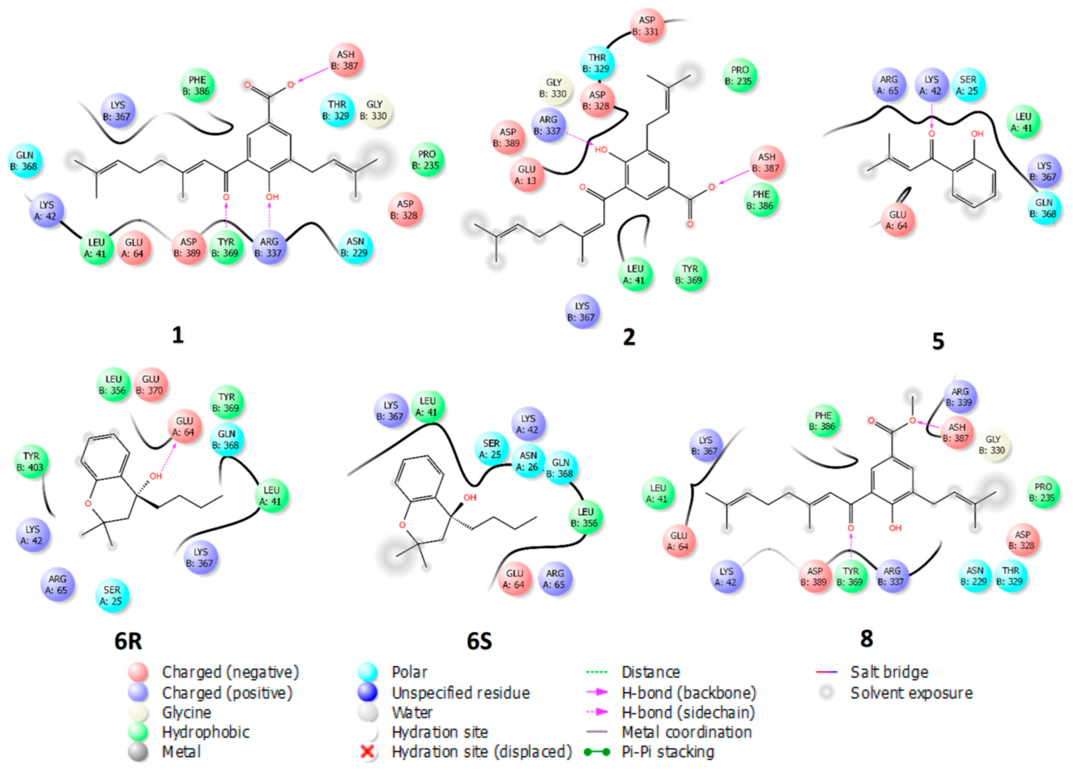 Plants 11 02188 g004