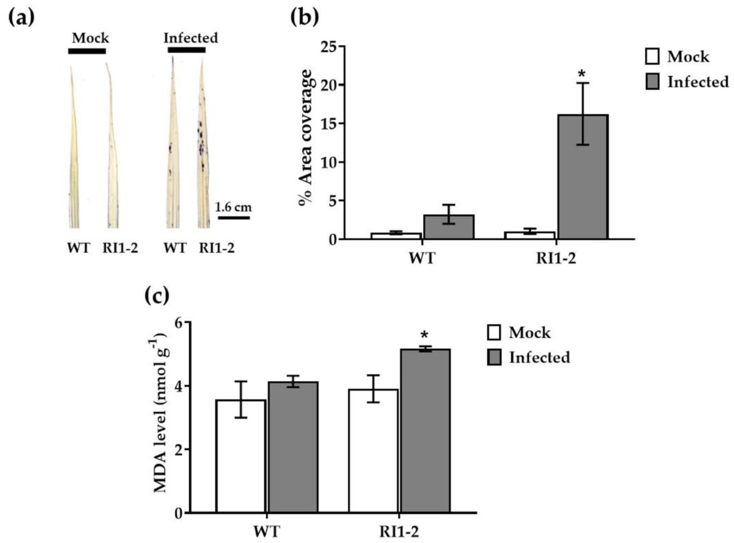 Plants 11 02189 g005