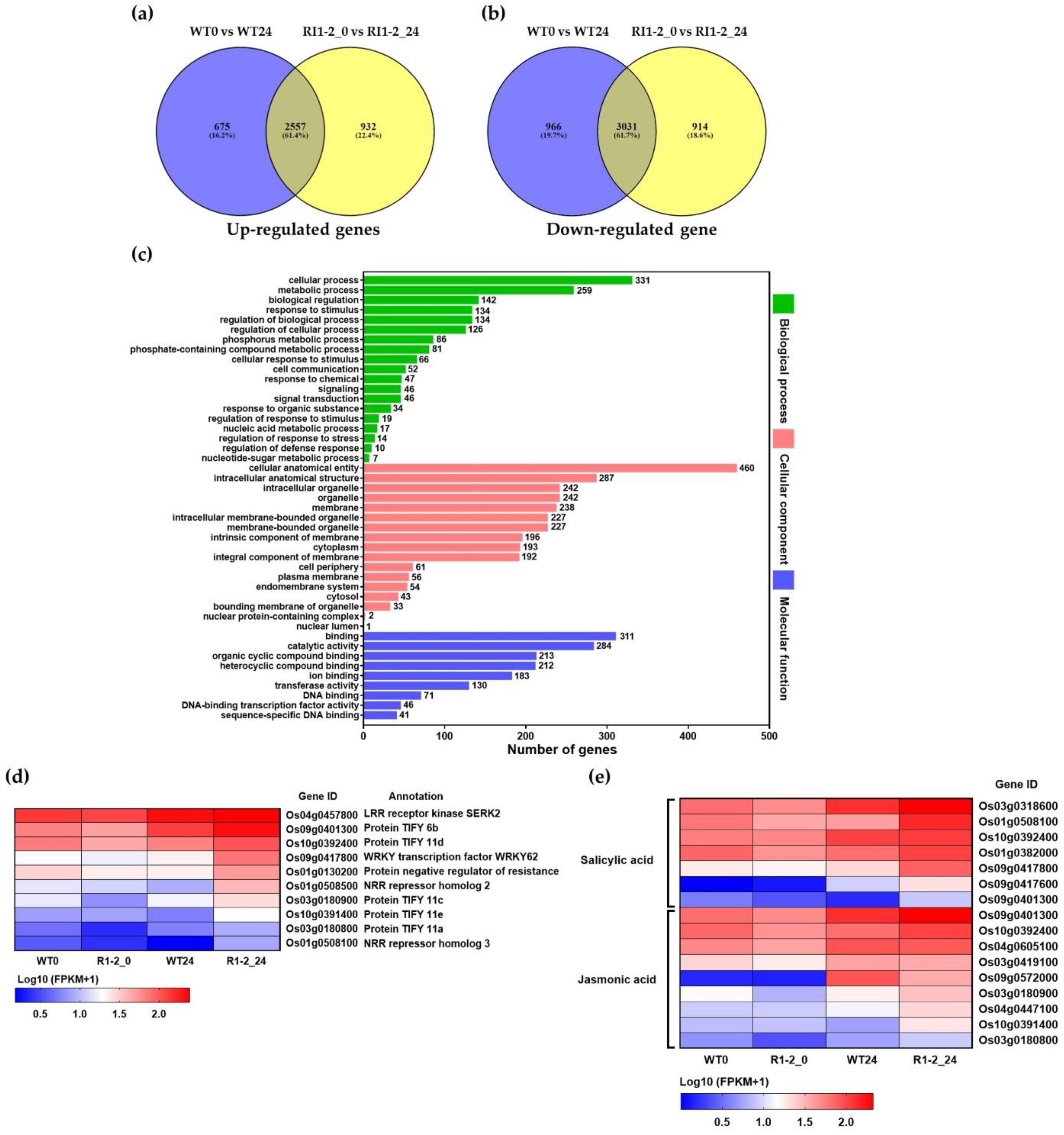 Plants 11 02189 g006