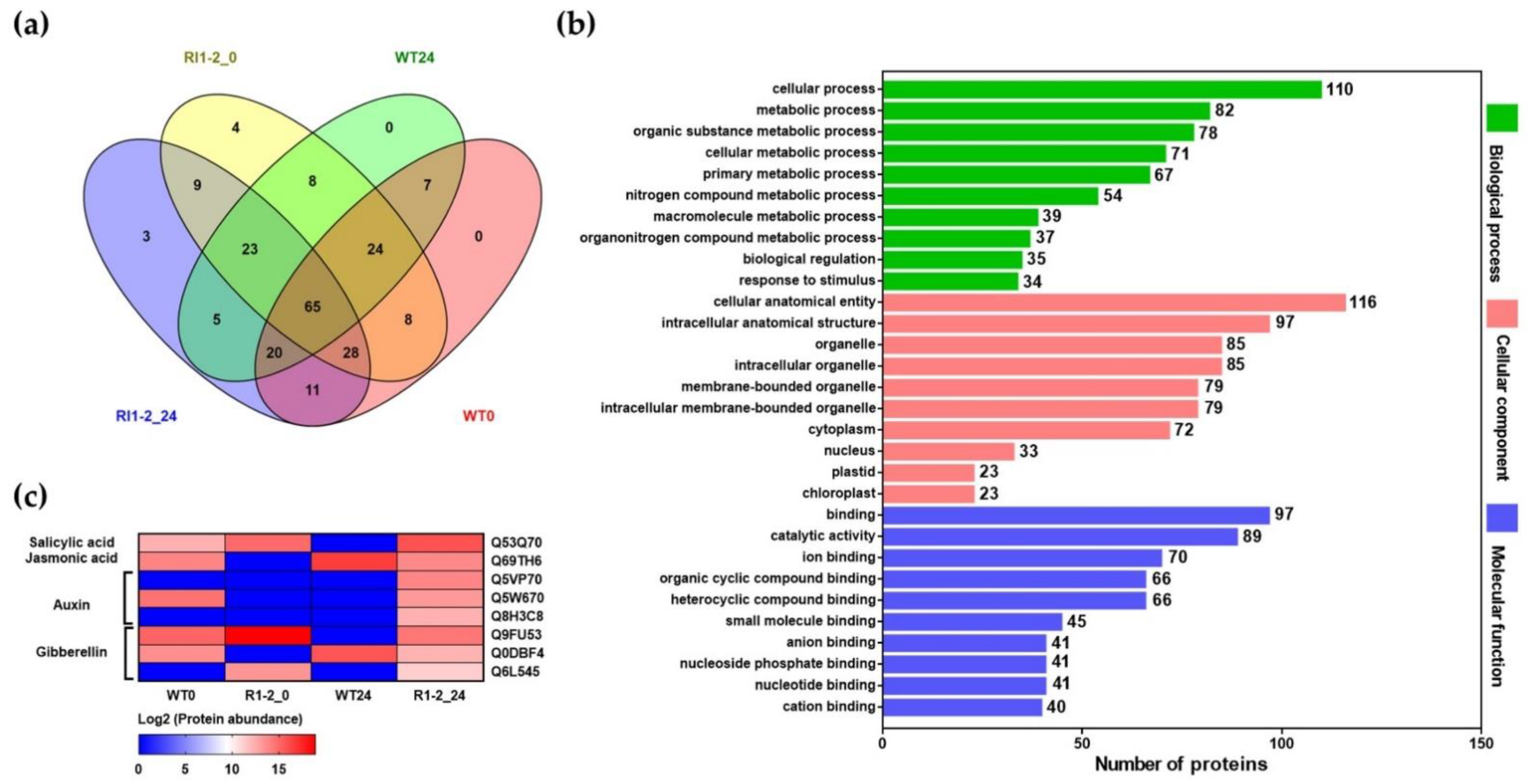 Plants 11 02189 g007