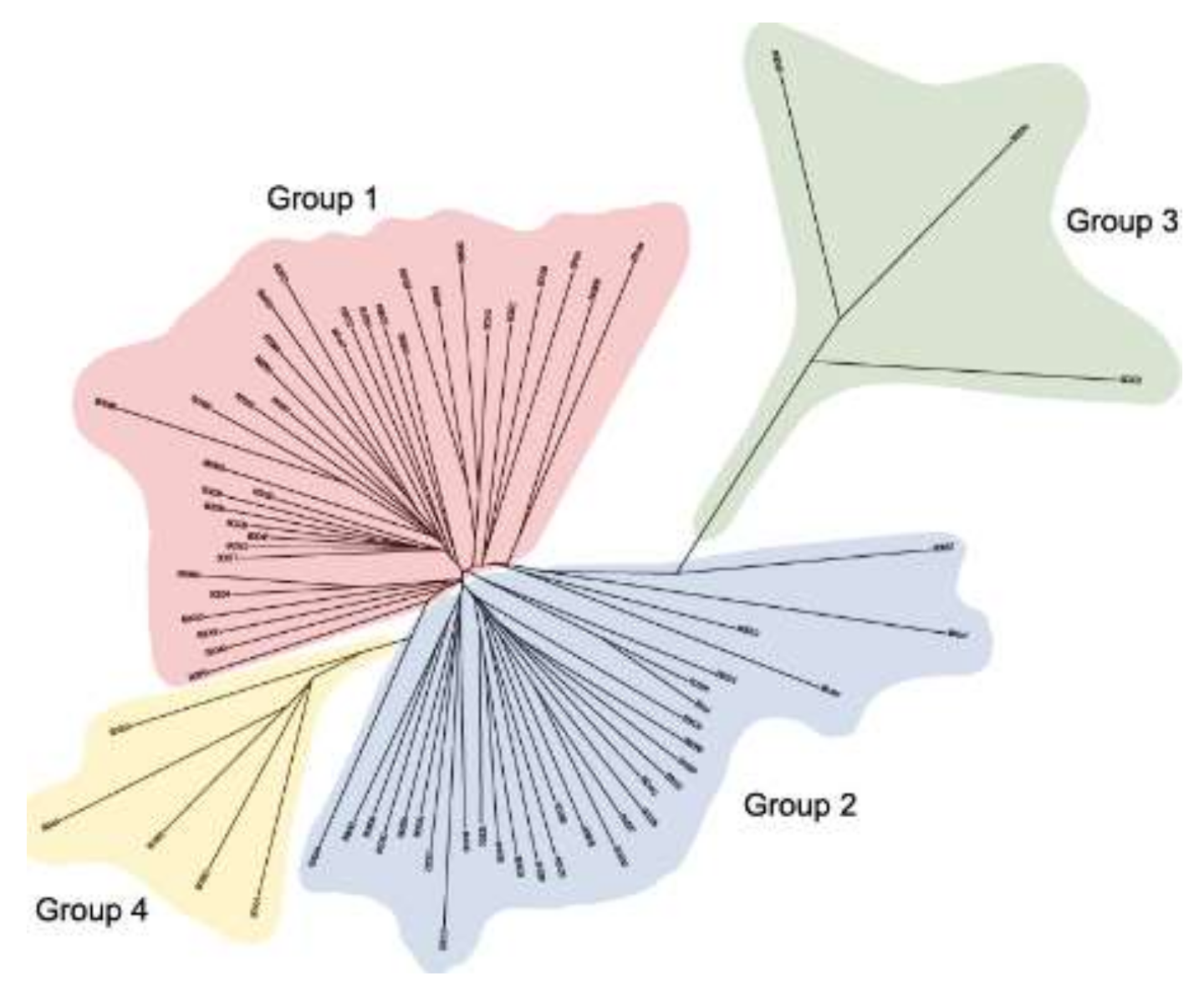 Plants 11 02190 g004 Plants 11 02190 g004