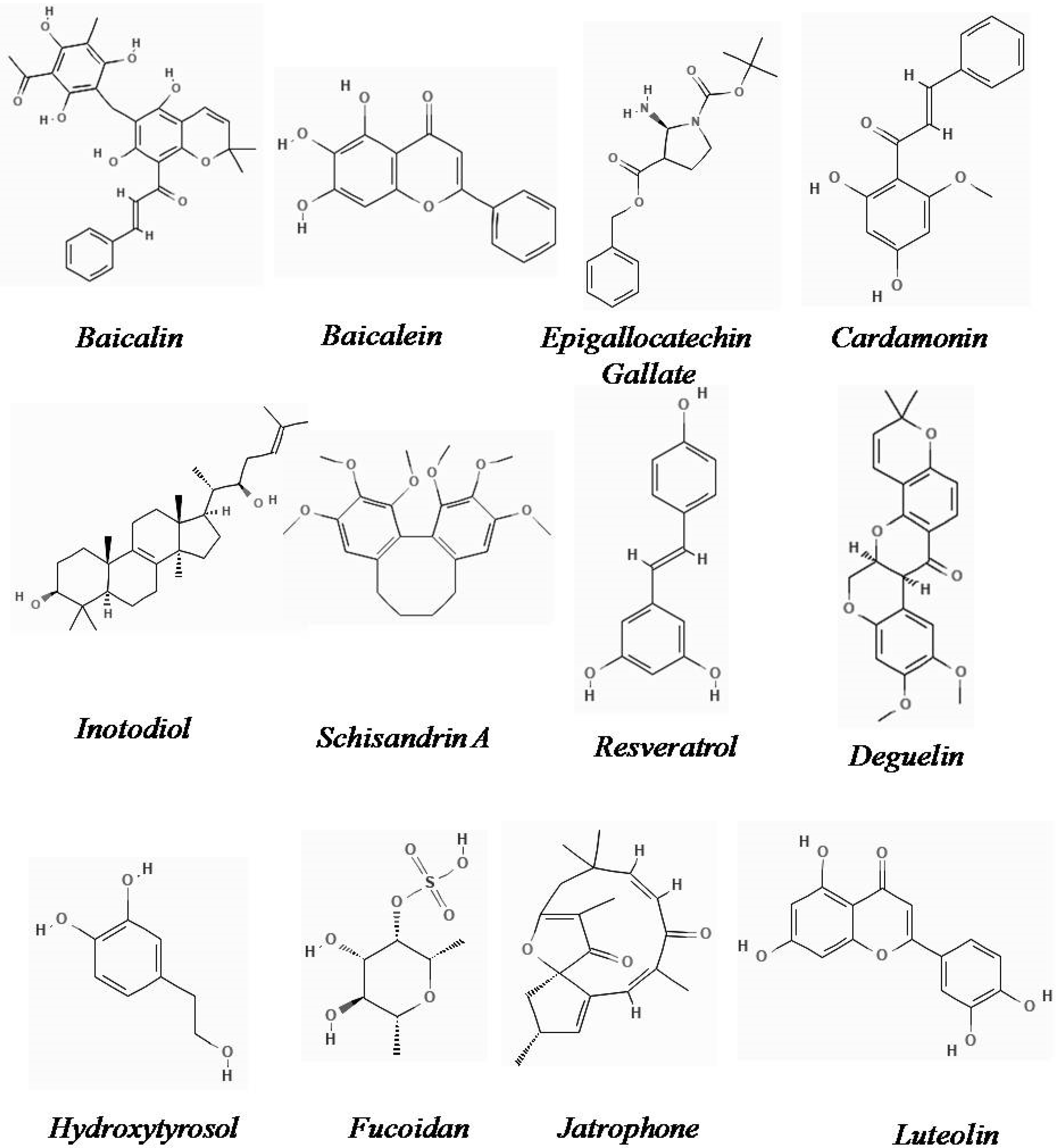 Plants 11 02191 g001b Plants 11 02191 g001b