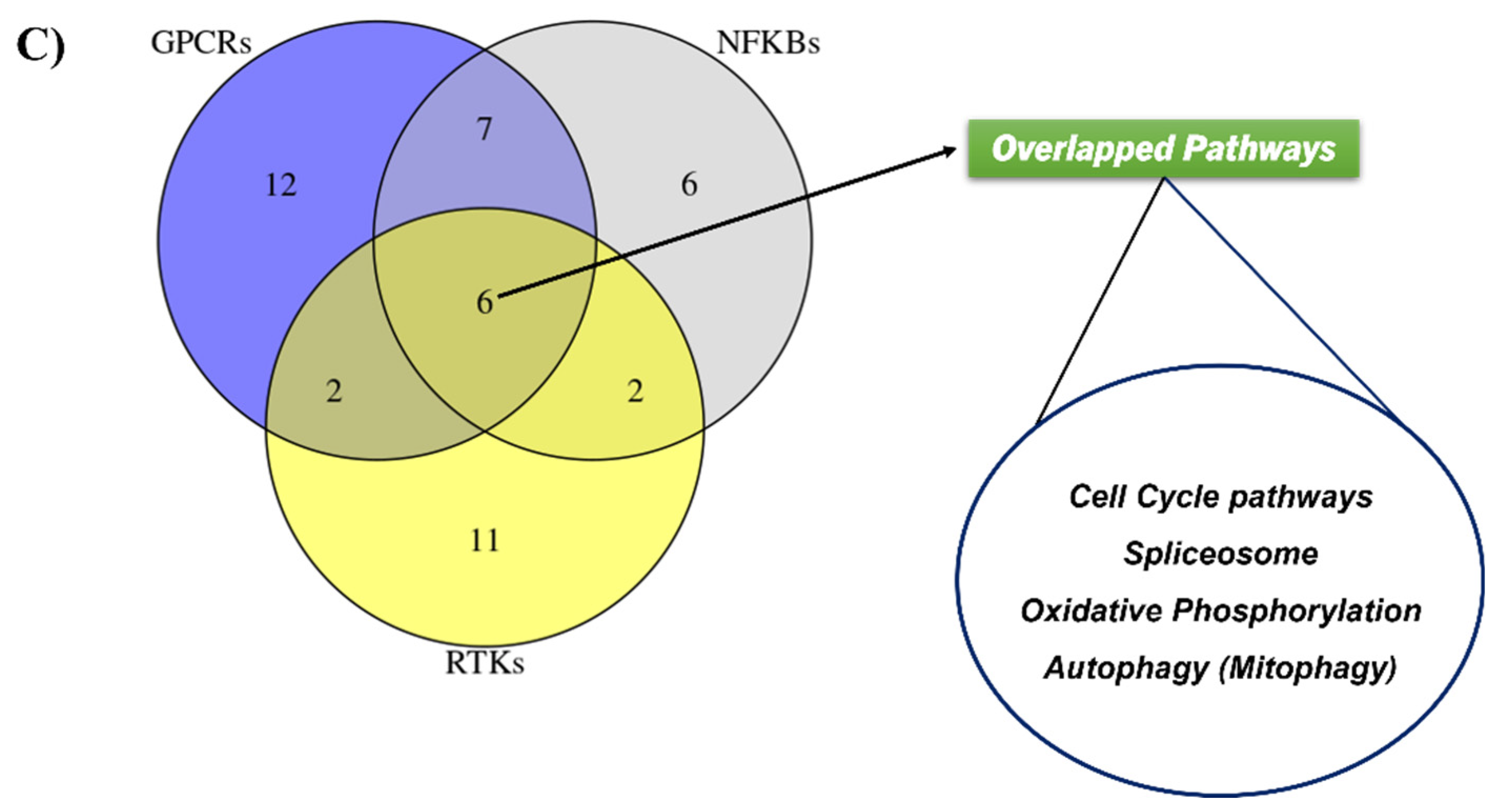 Plants 11 02195 g002b 550