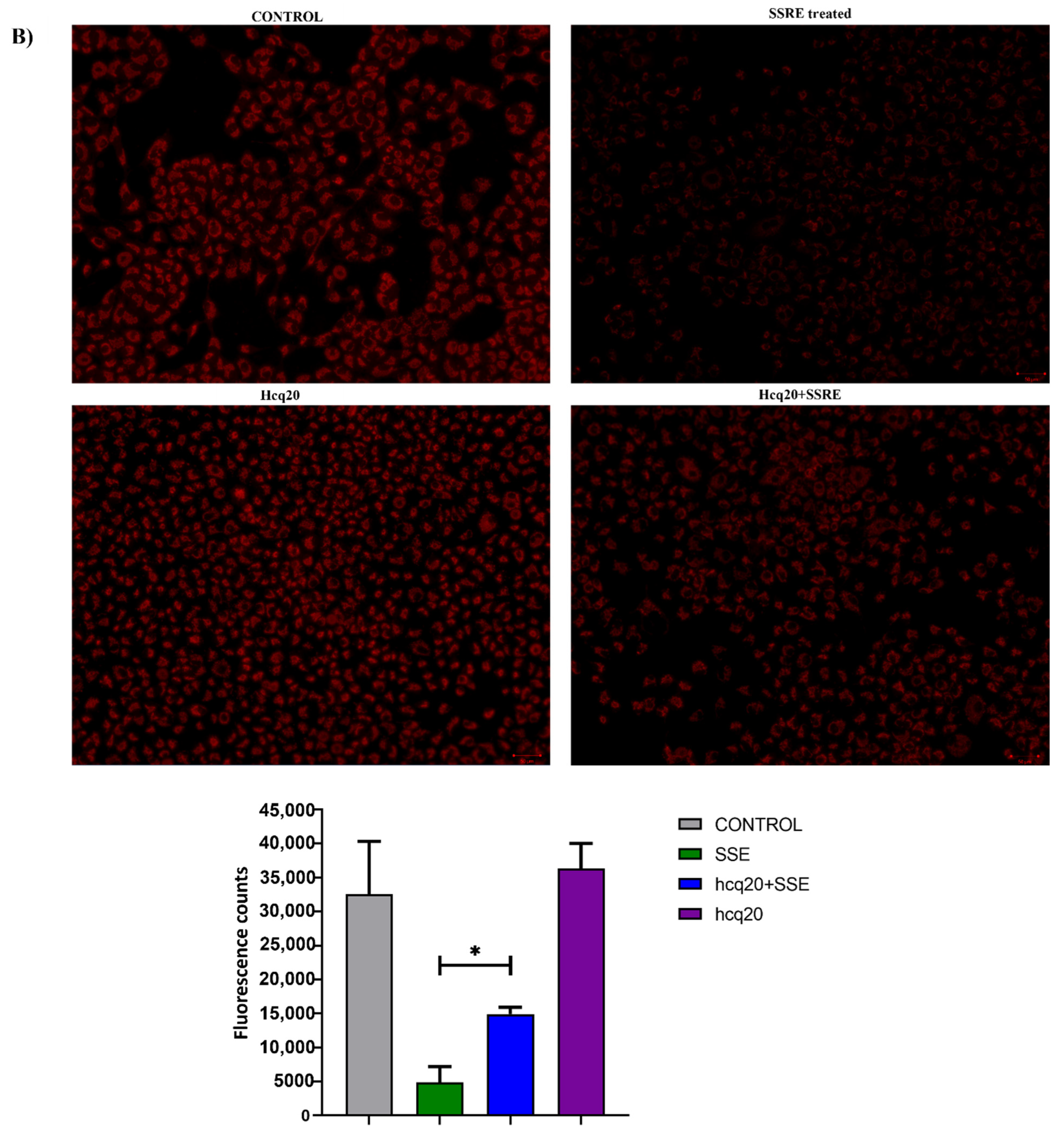 Plants 11 02195 g006b 550