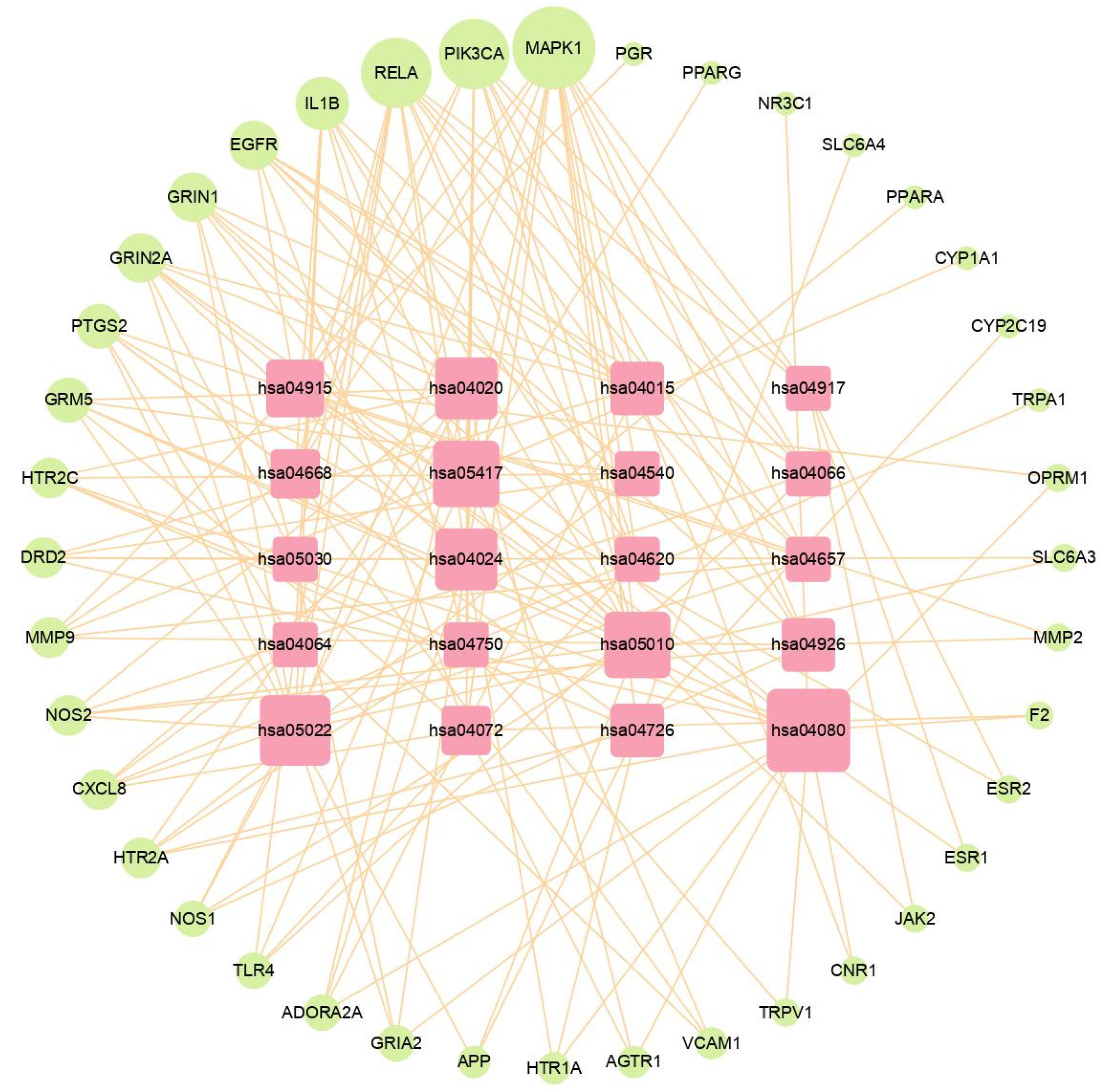 Plants 11 02196 g006 Plants 11 02196 g006
